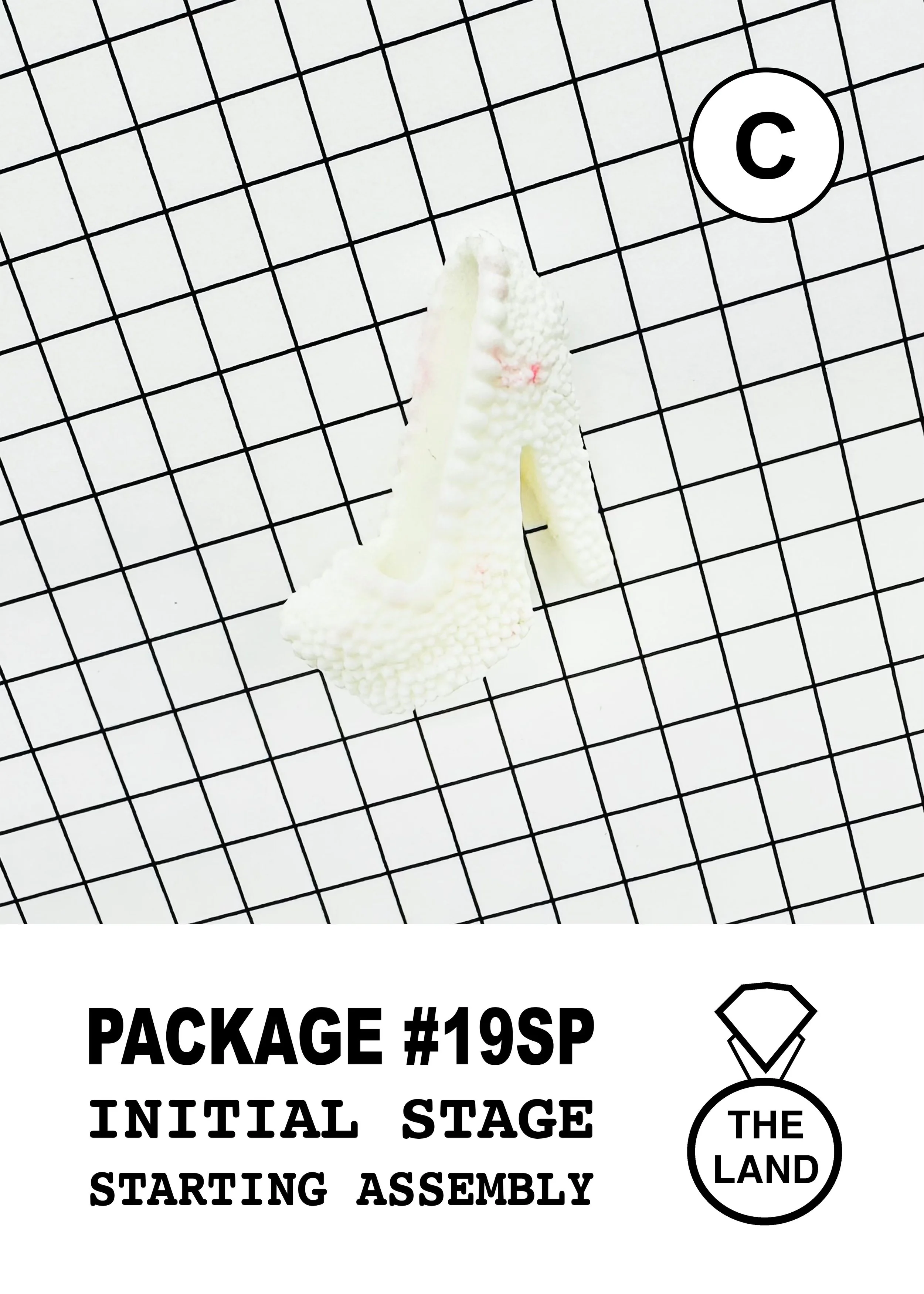 PACKAGE#19-C-INITIAL-STAGE.jpg