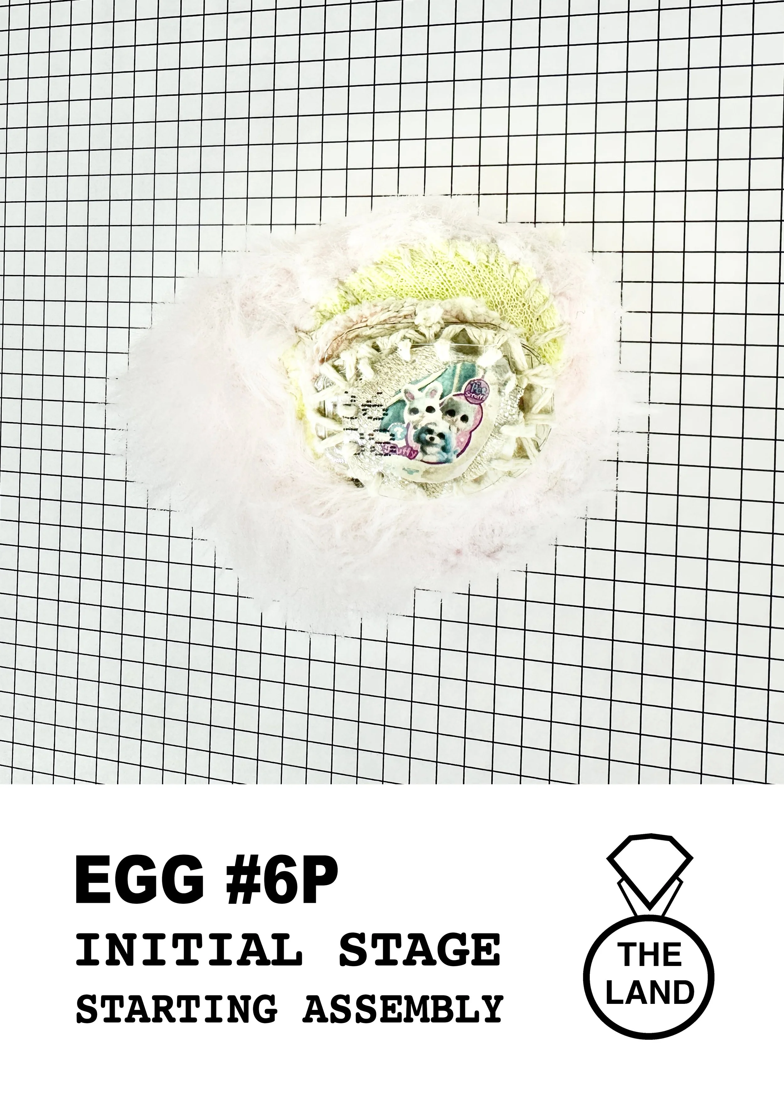 EGG#6-INITIAL-STAGE.jpg