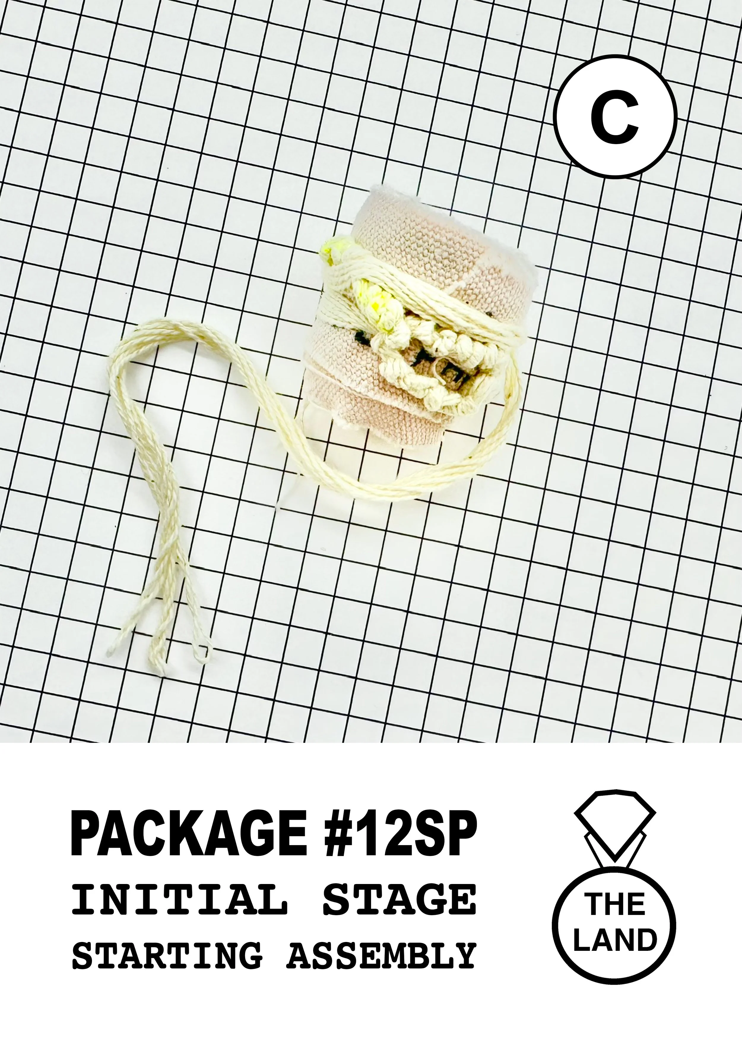 PACKAGE#12-C-INITIAL-STAGE.jpg