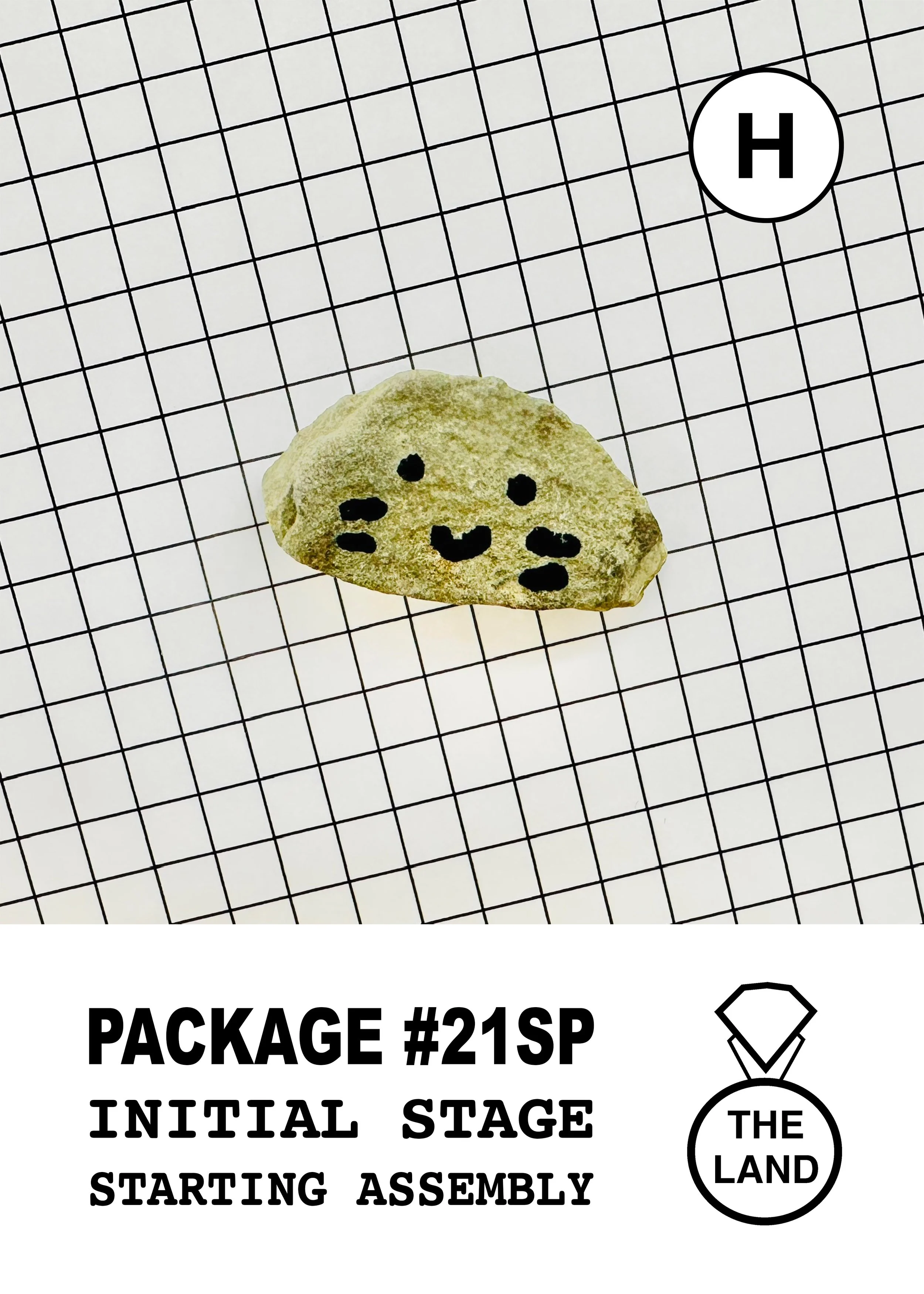 PACKAGE#21-H-INITIAL-STAGE.jpg