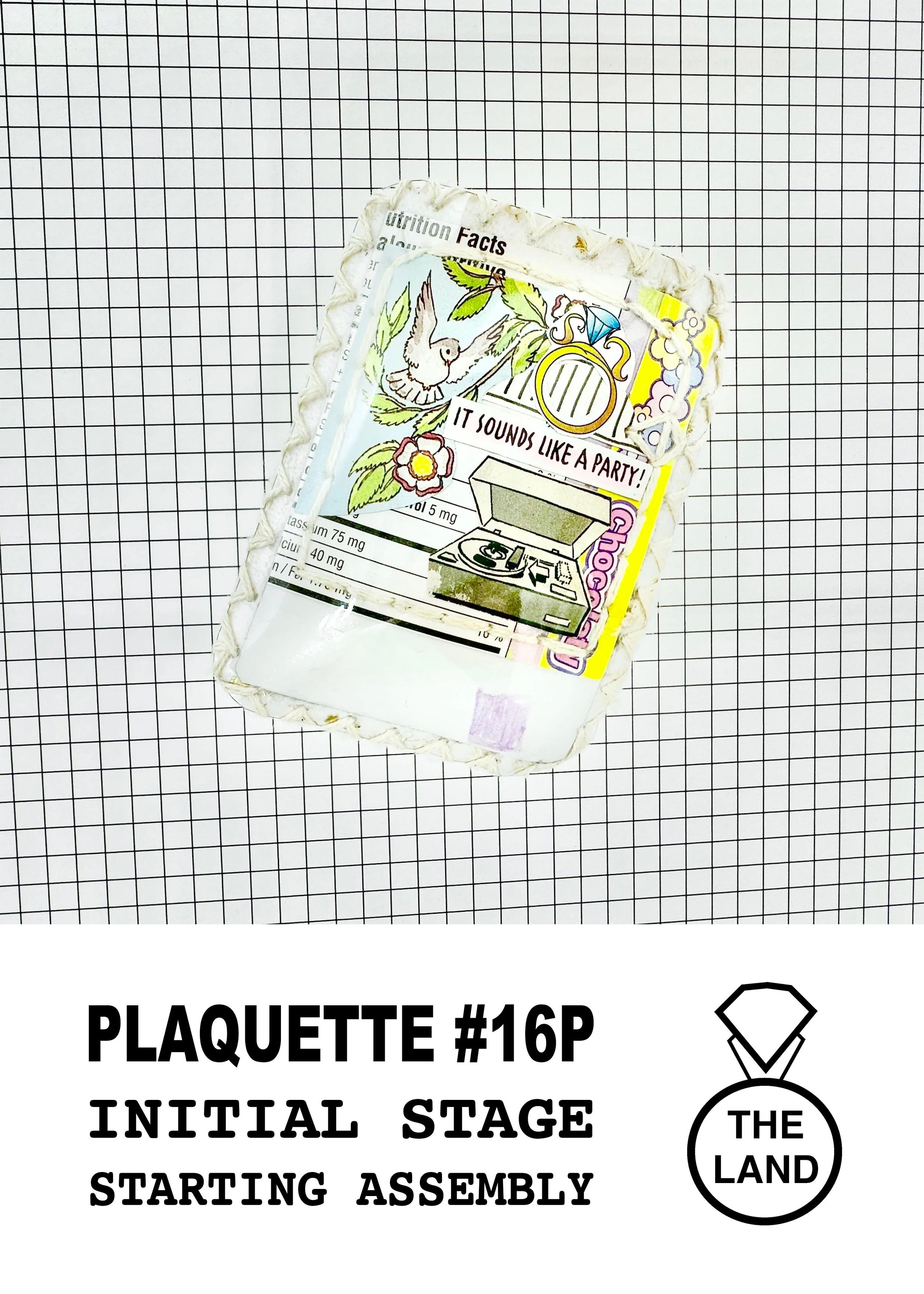 PLAQUETTE#16-INITIAL-STAGE.jpg