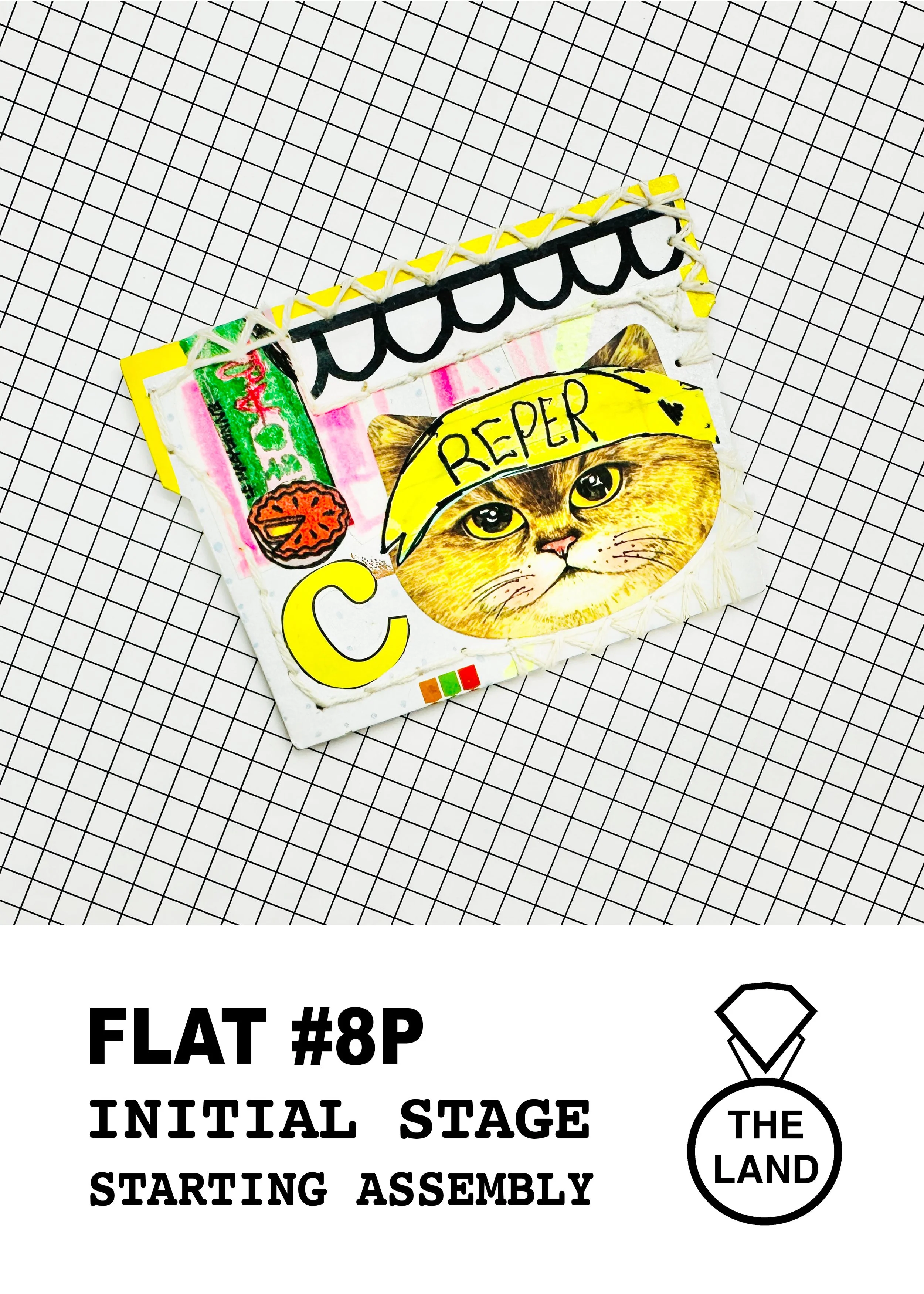 FLAT#8-INITIAL-STAGE.jpg