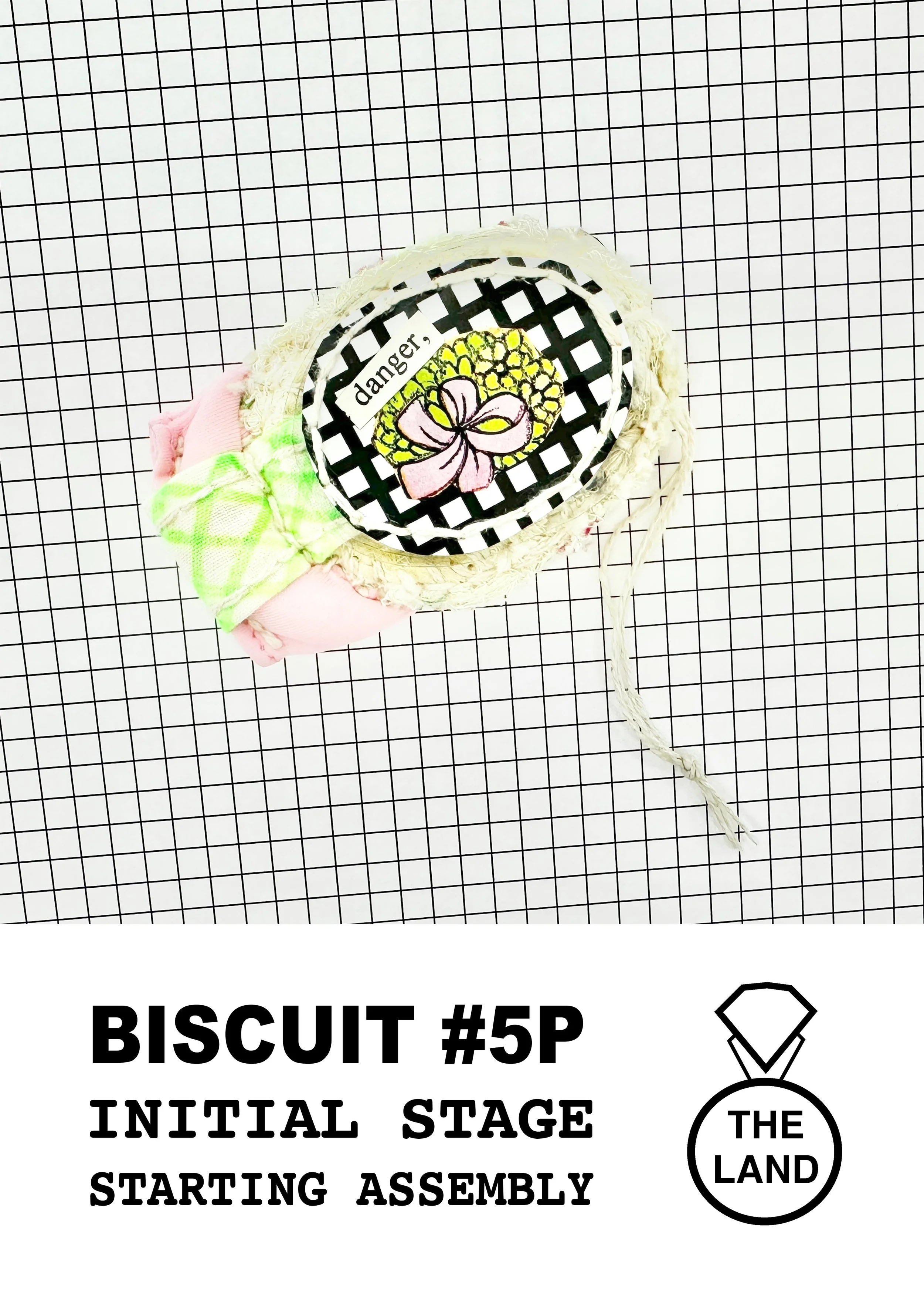 BISCUIT#5-INITIAL-STAGE.jpg