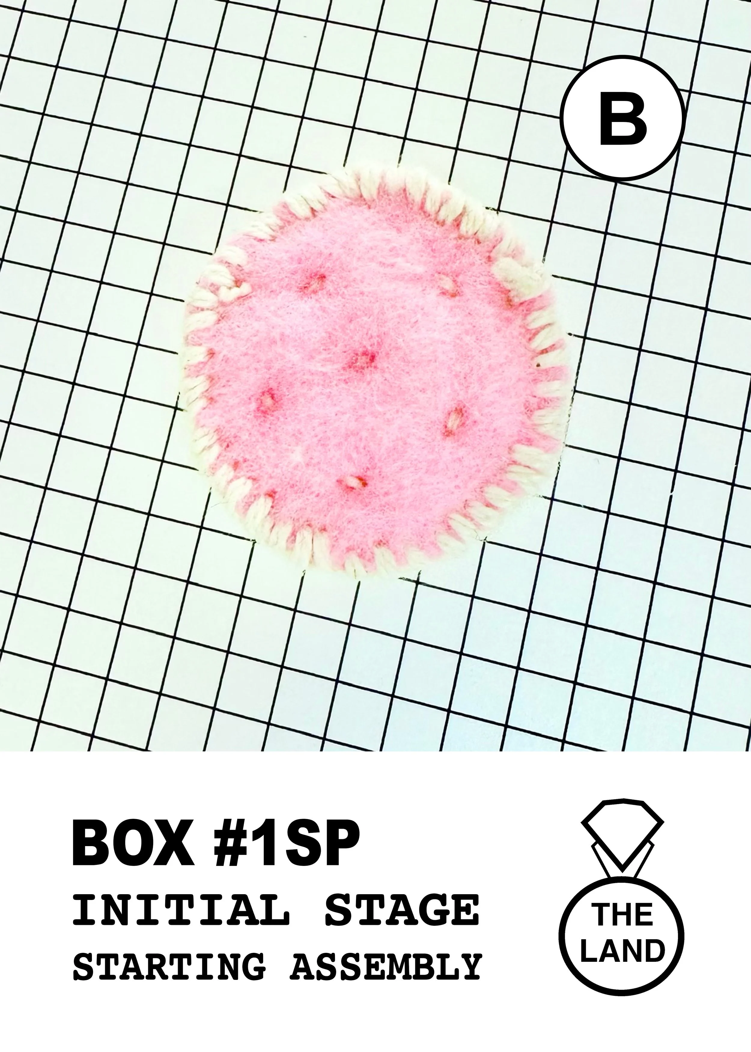 BOX#1-B-INITIAL-STAGE.jpg