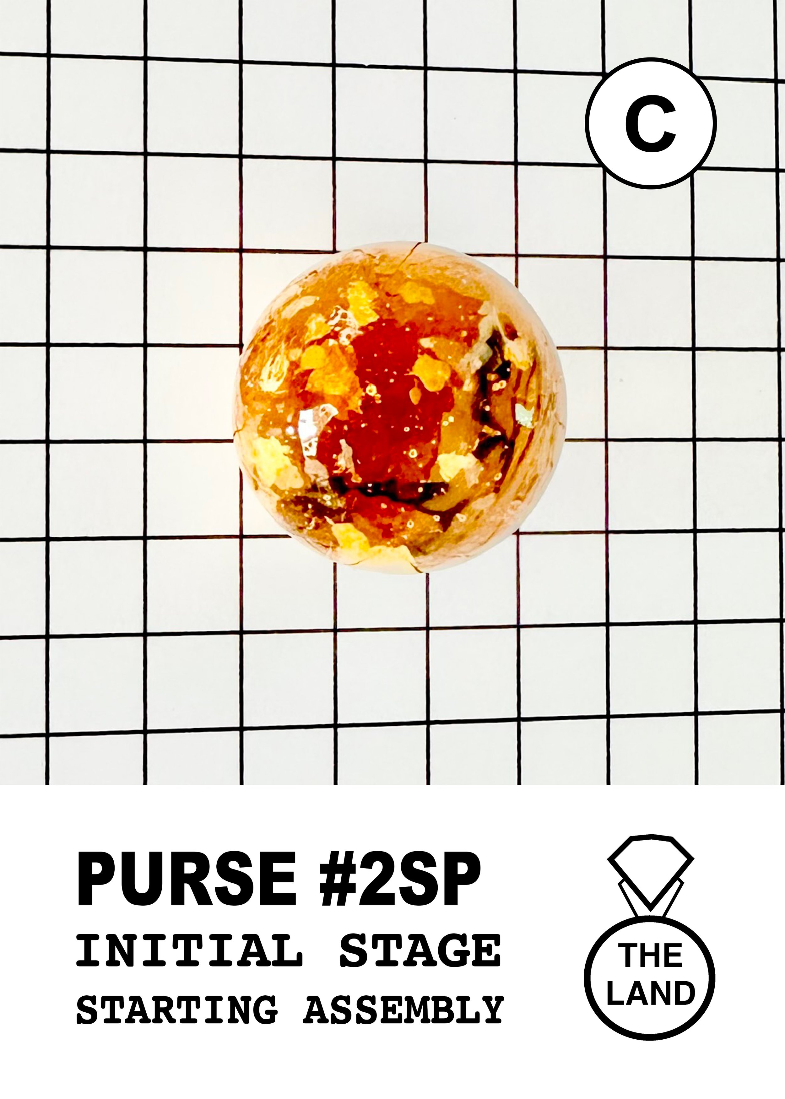 PURSE#2-C-INITIAL-STAGE.jpg