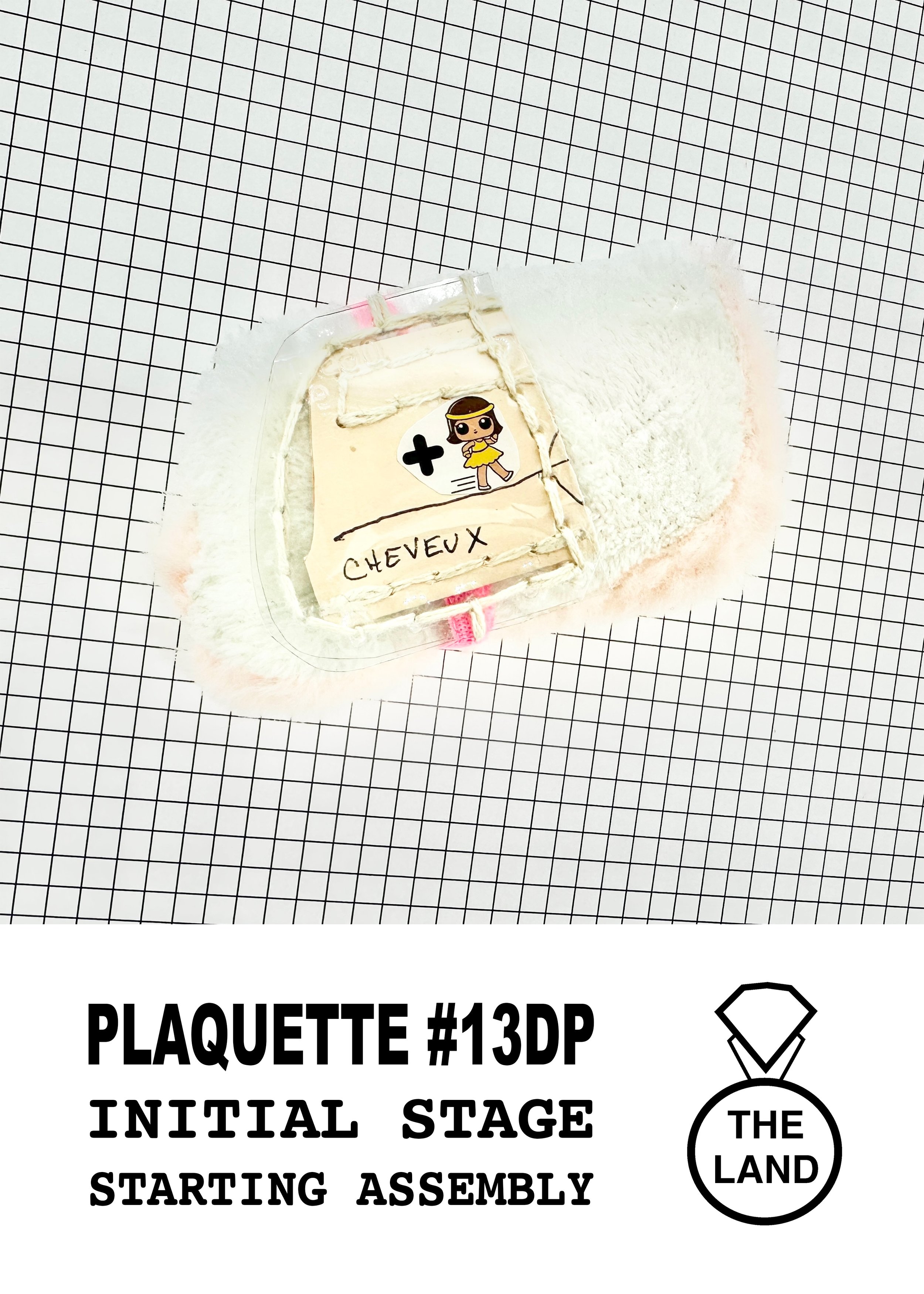 PLAQUETTE#13-INITIAL-STAGE.jpg