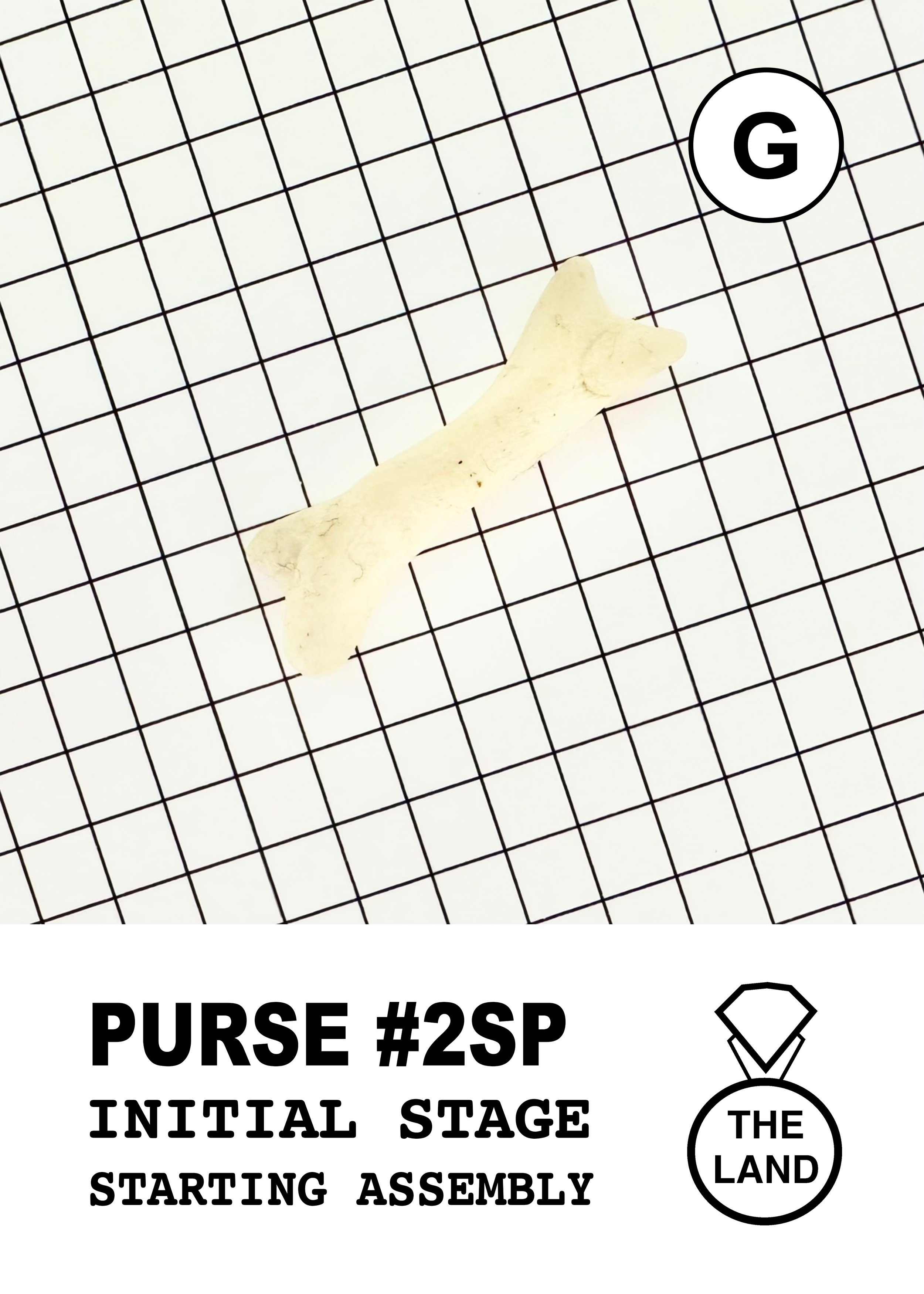 PURSE#2-G-INITIAL-STAGE.jpg