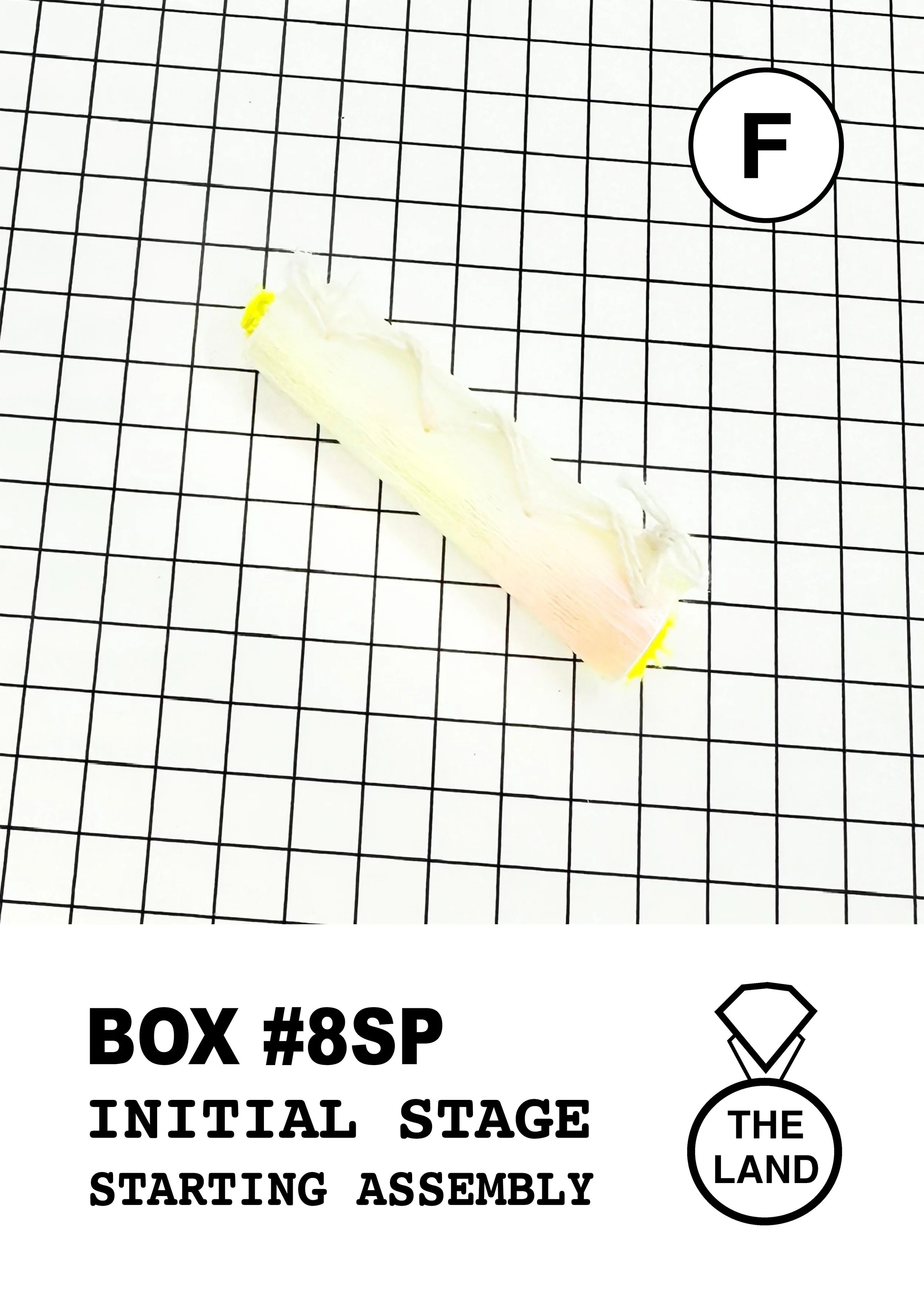 BOX#8-F-INITIAL-STAGE.jpg