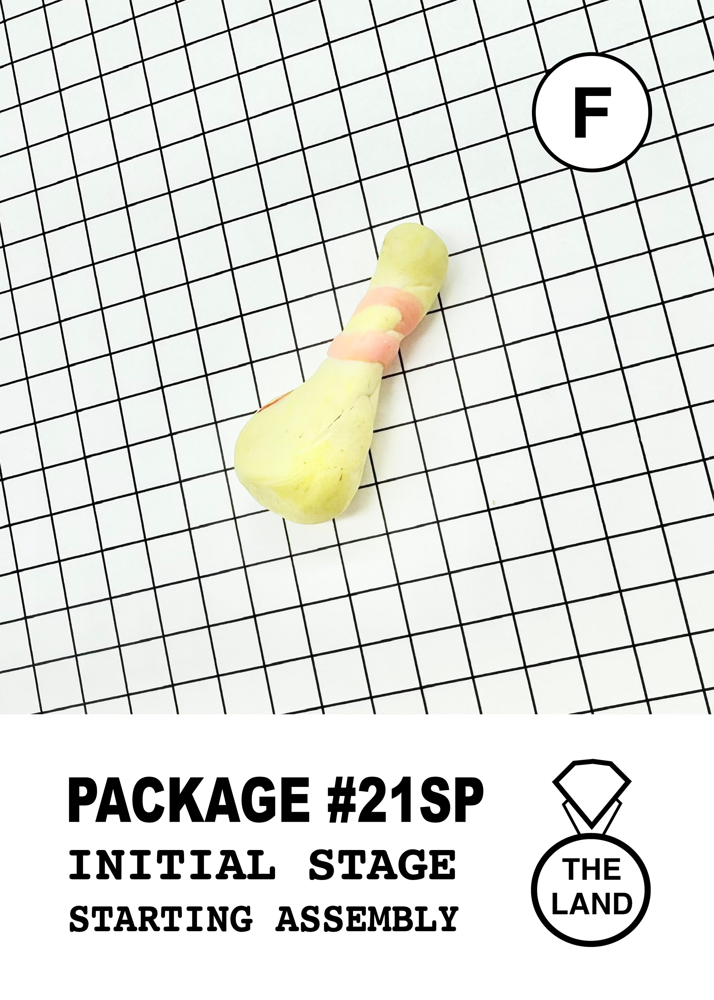 PACKAGE#21-F-INITIAL-STAGE.jpg