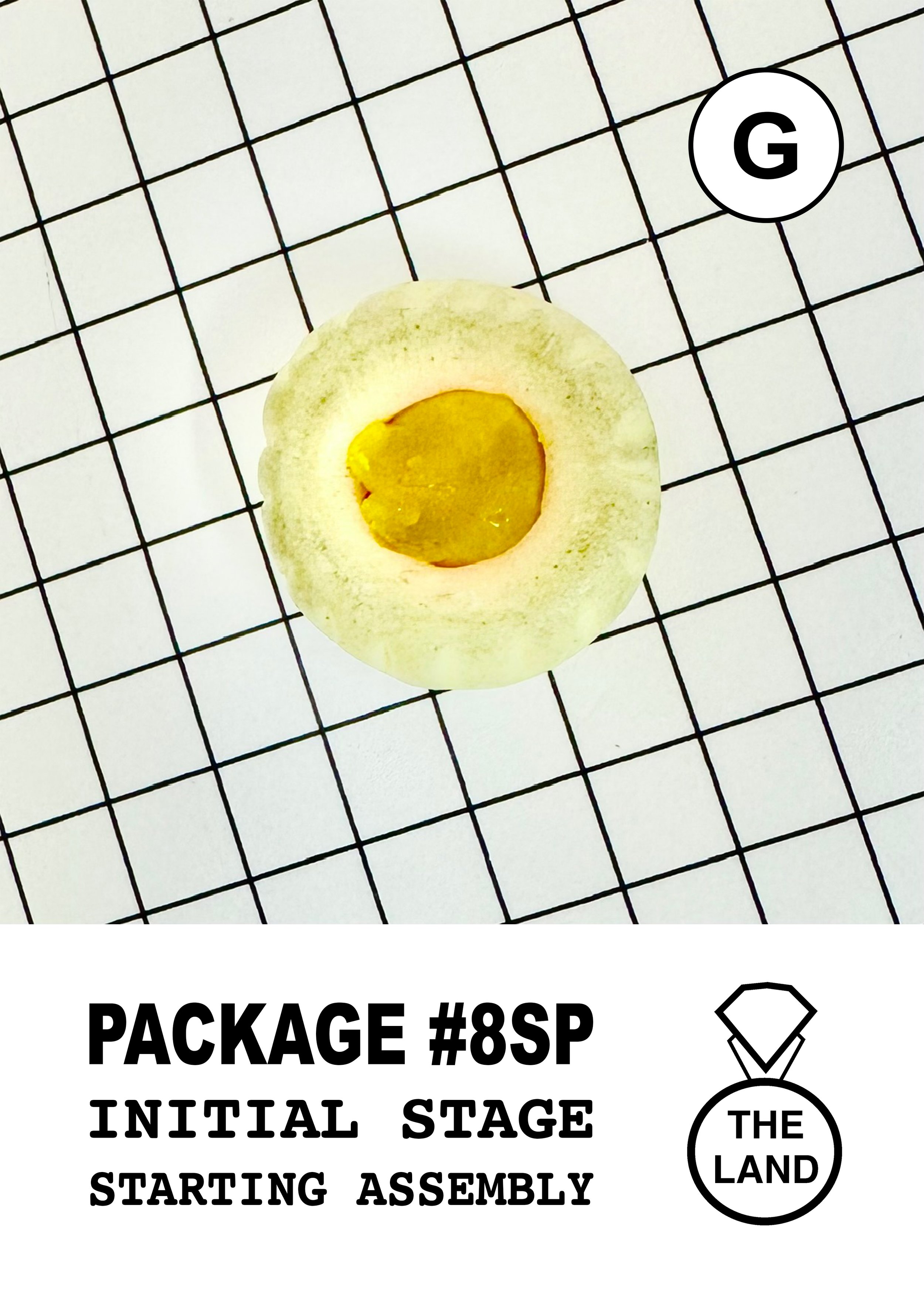 PACKAGE#8-G-INITIAL-STAGE.jpg