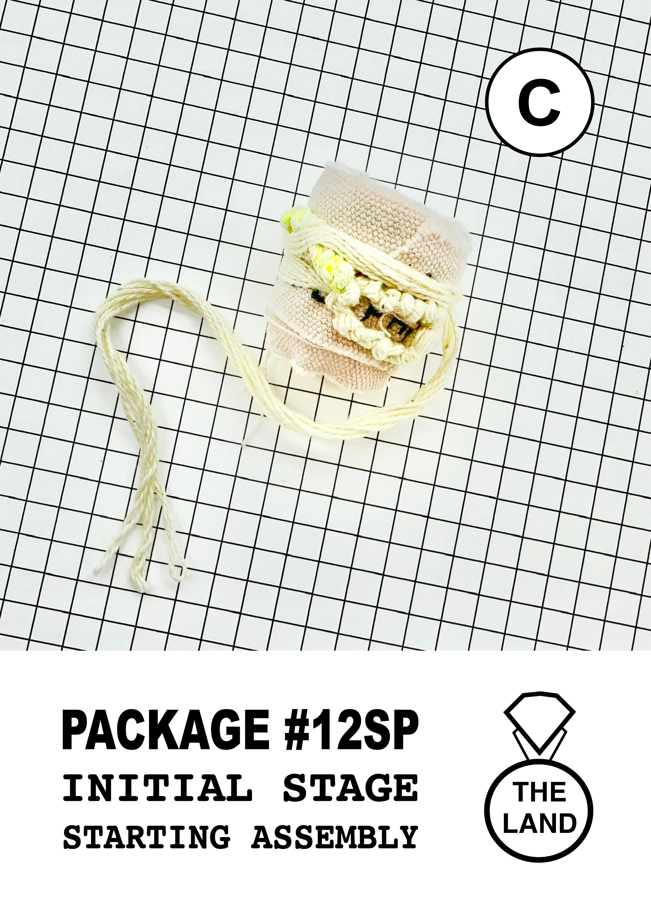 PACKAGE#12-C-INITIAL-STAGE.jpg