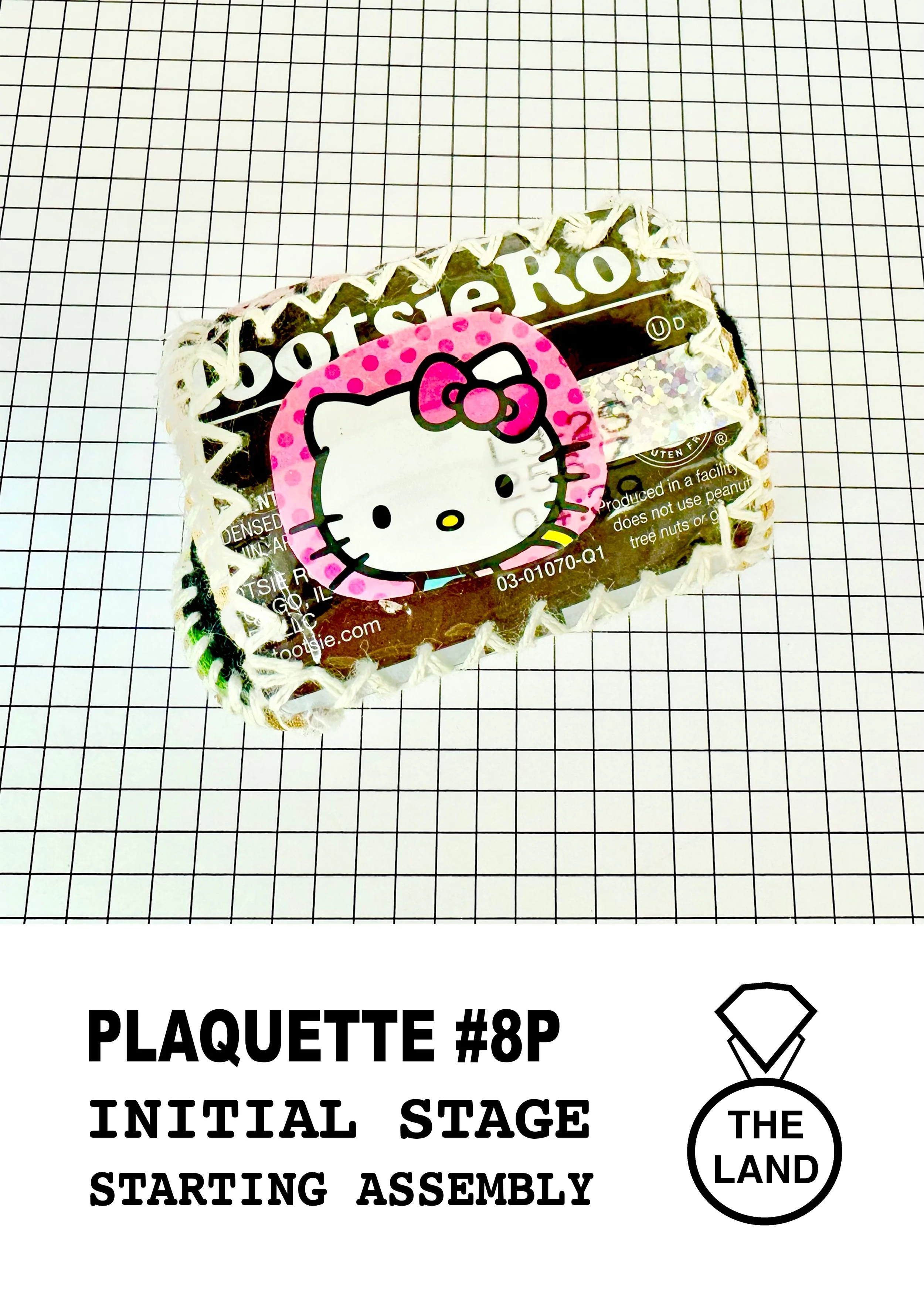 PLAQUETTE#8-INITIAL-STAGE.jpg