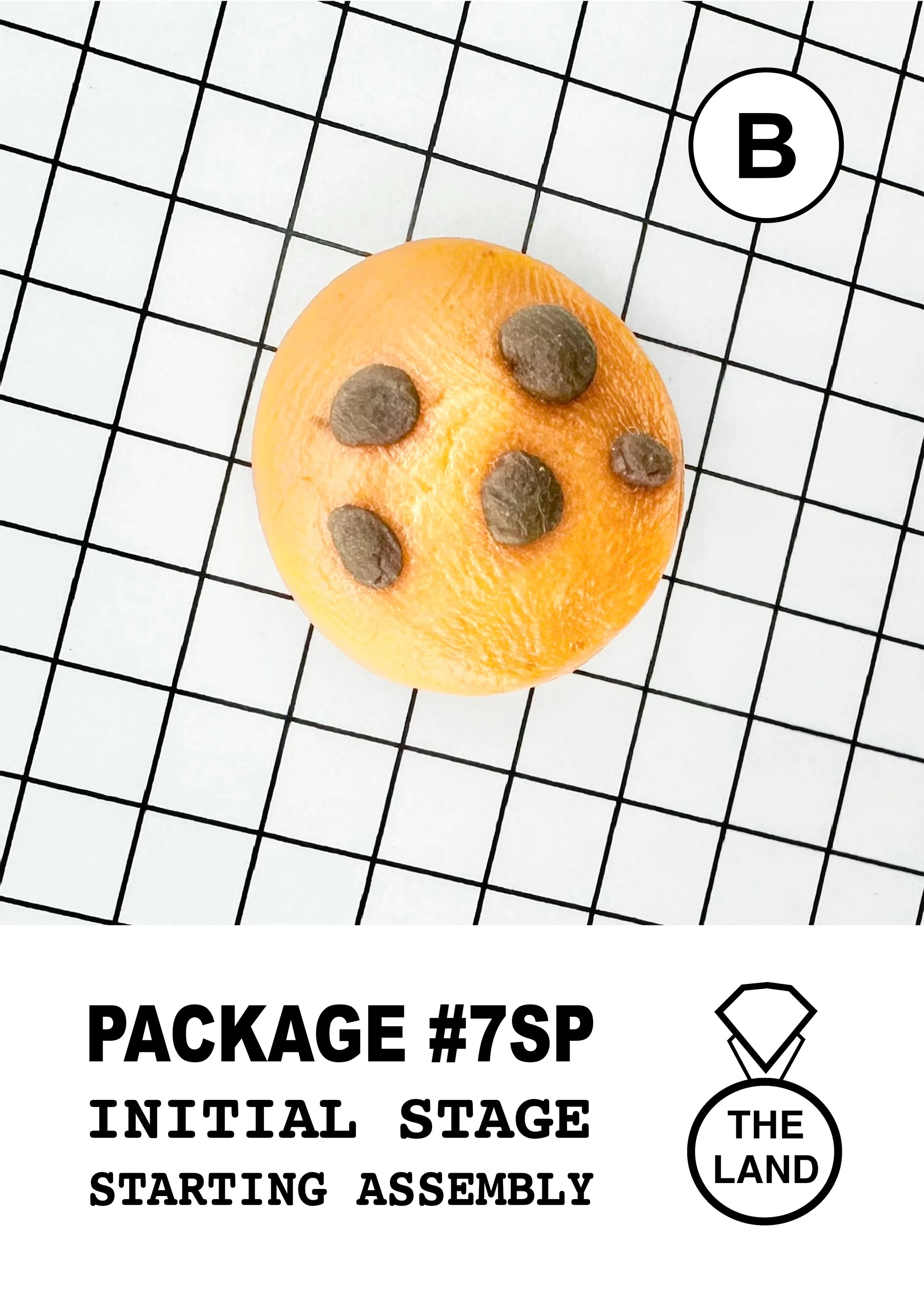 PACKAGE#7-B-INITIAL-STAGE.jpg