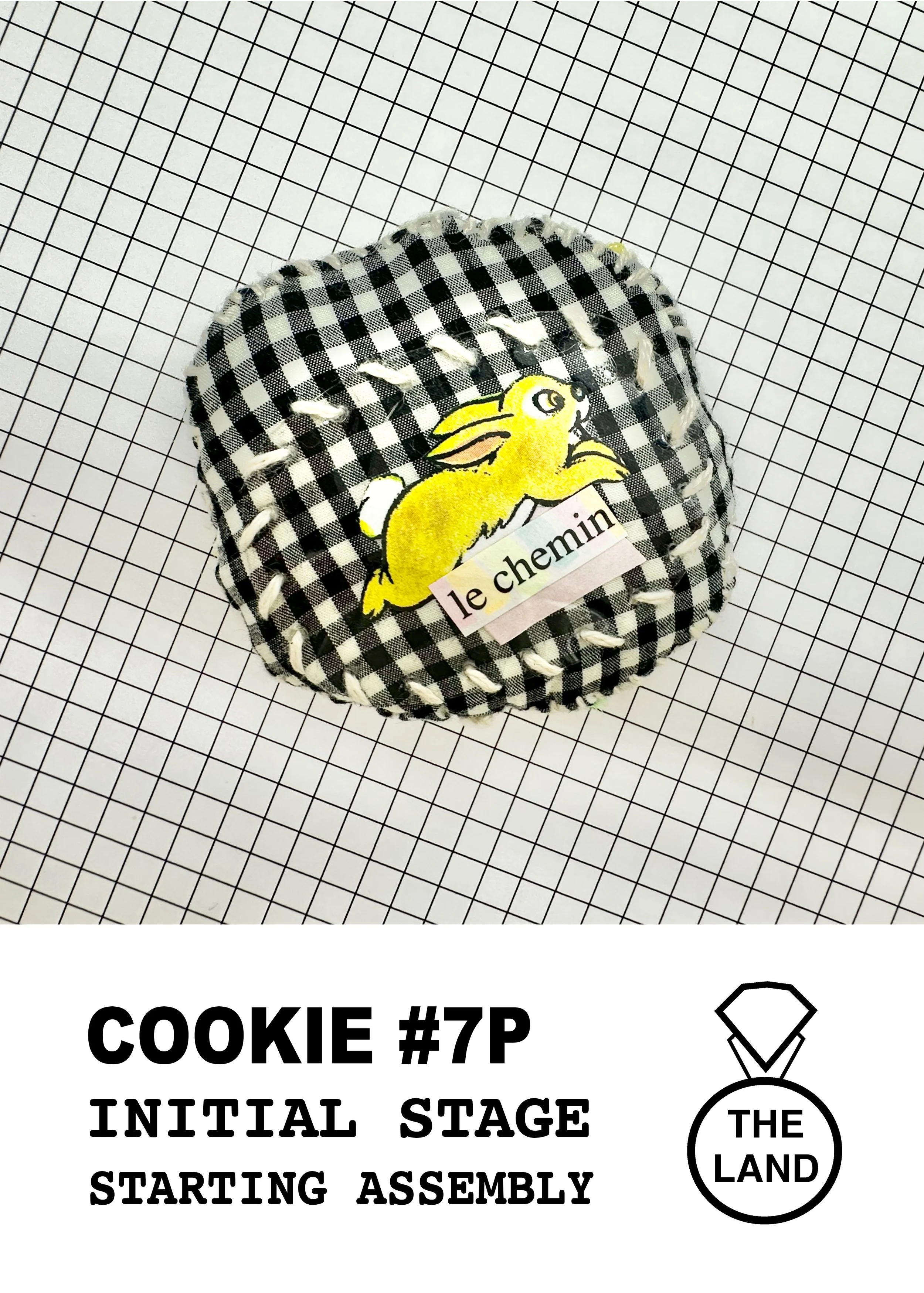 COOKIE#7-INITIAL-STAGE.jpg