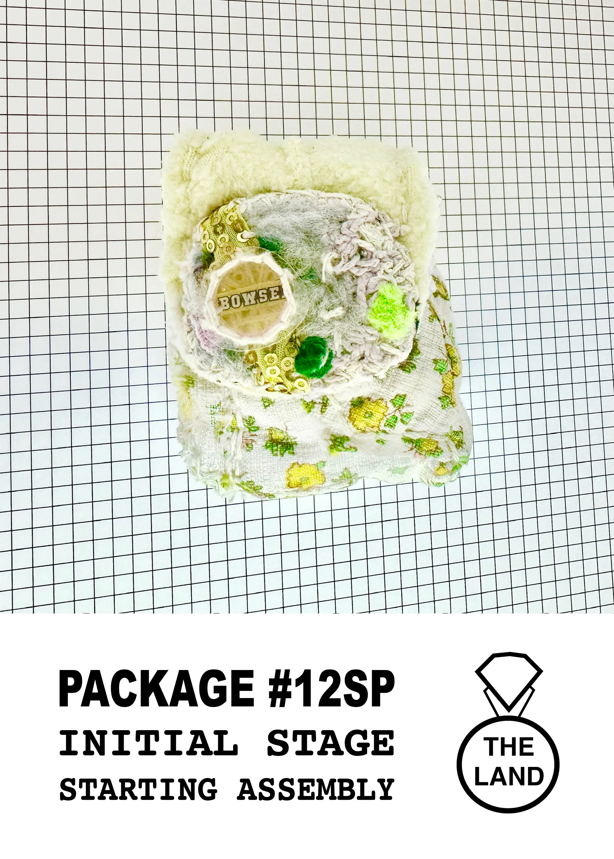 PACKAGE#12-INITIAL-STAGE.jpg
