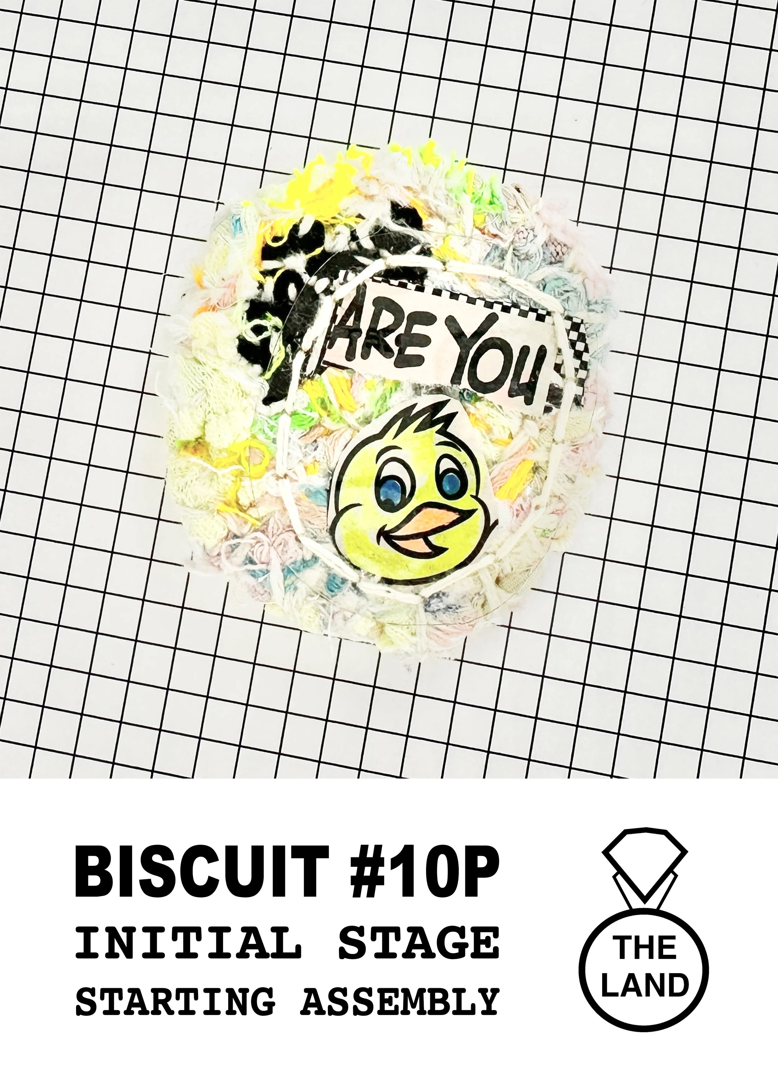 BISCUIT #10P