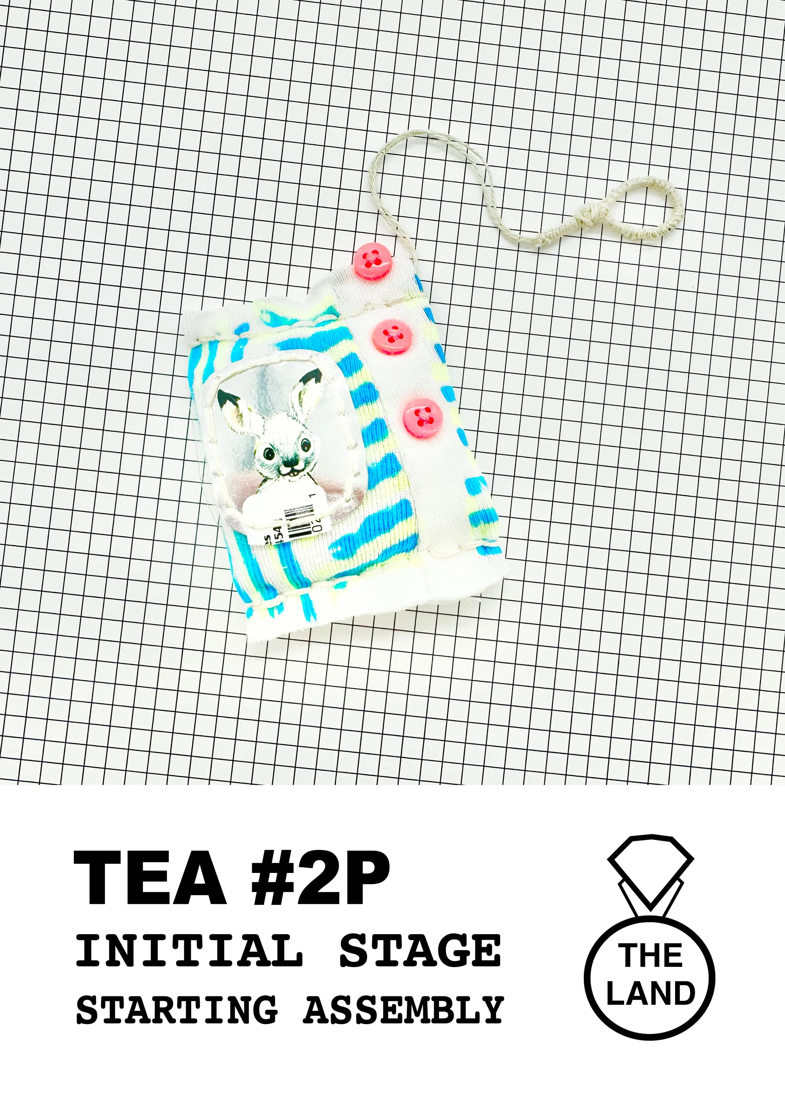 TEA #2P
