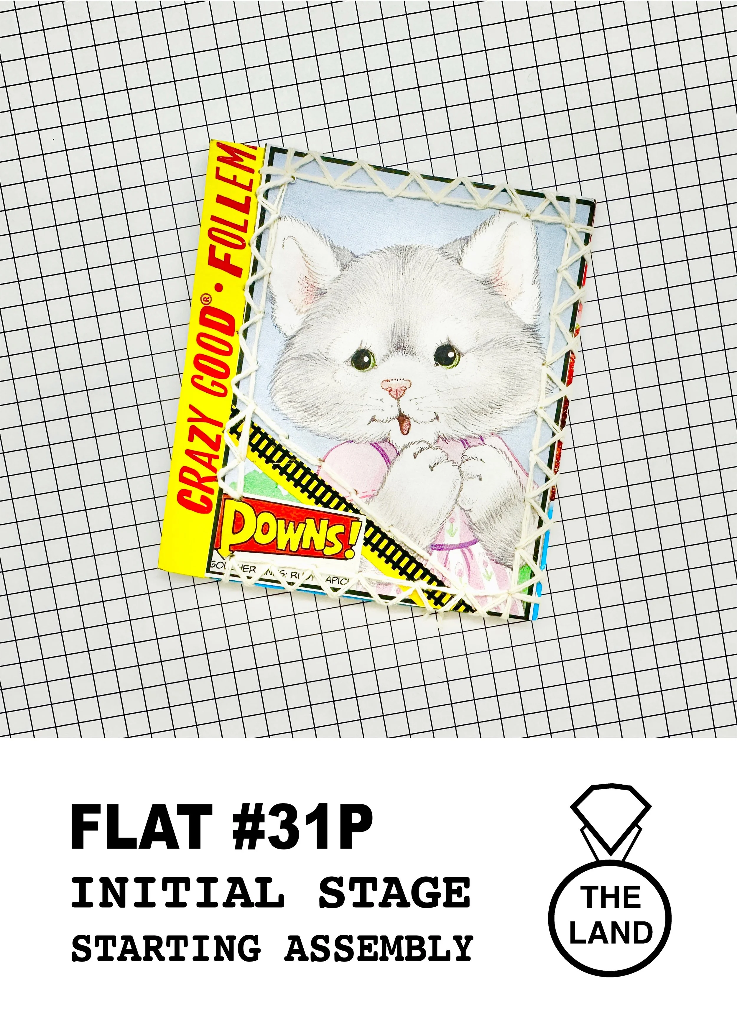 FLAT #31P