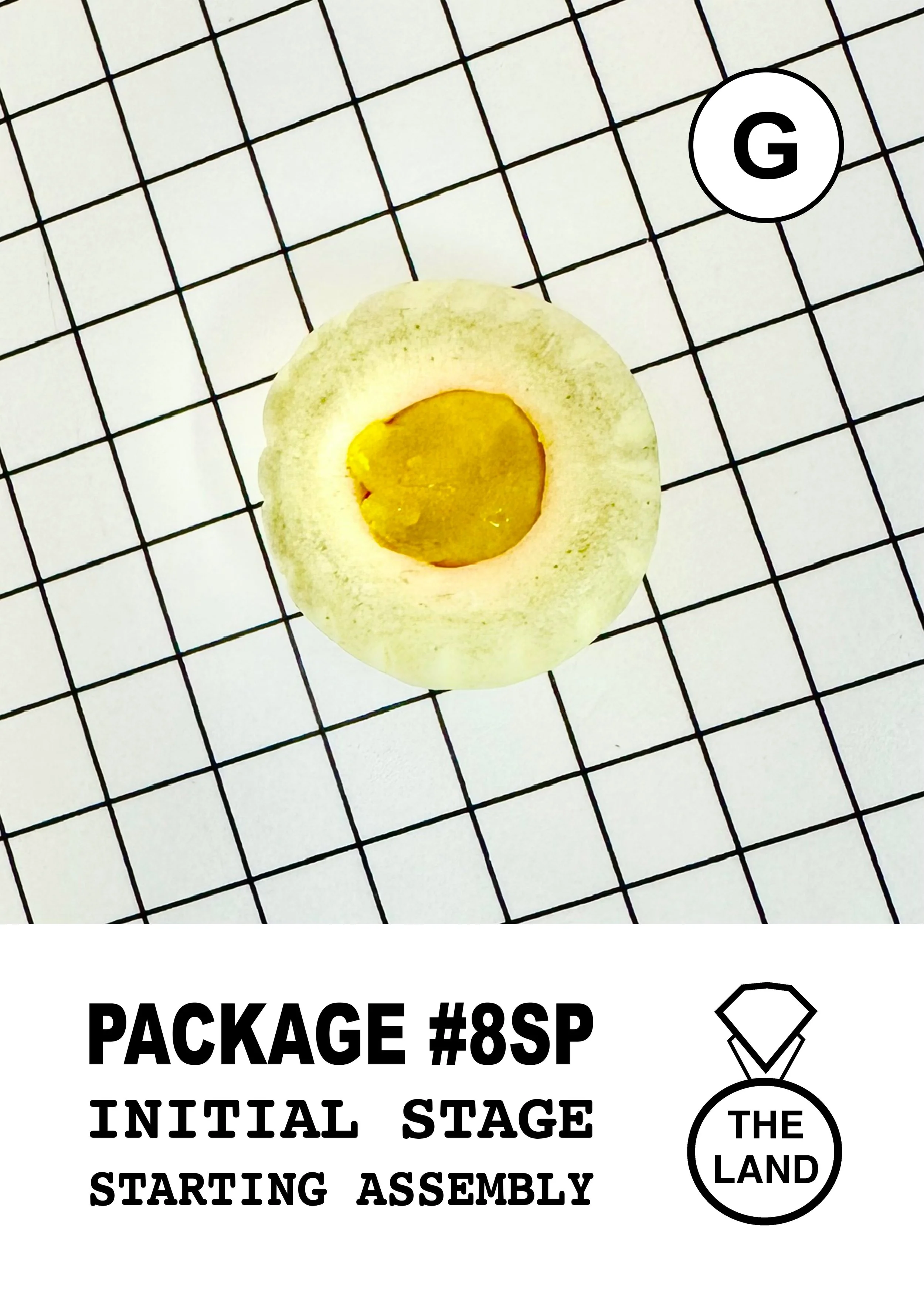 PACKAGE#8-G-INITIAL-STAGE.jpg