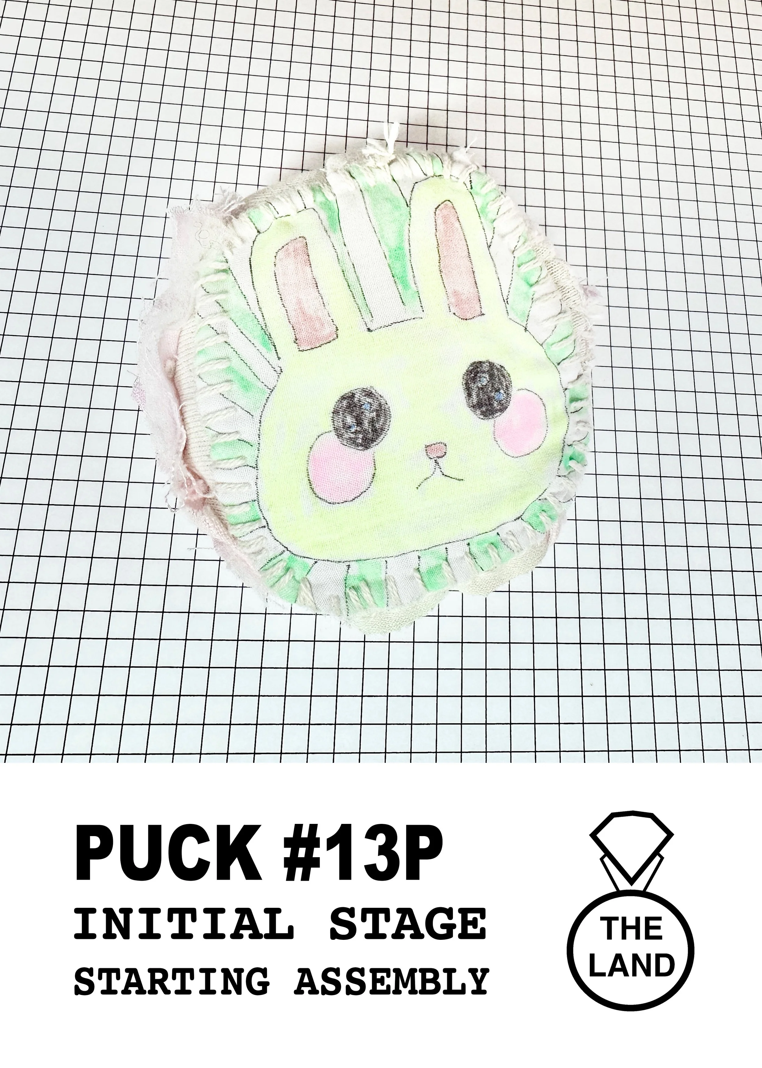 PUCK#13-INITIAL-STAGE.jpg
