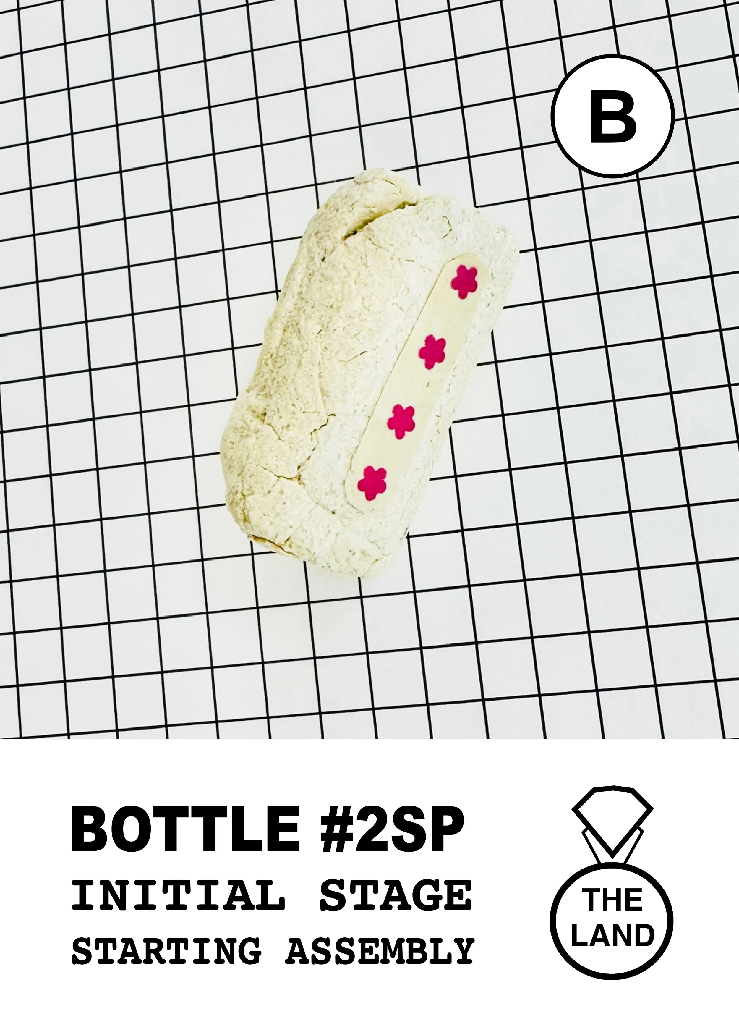 BOTTLE#2-B-INITIAL-STAGE.jpg