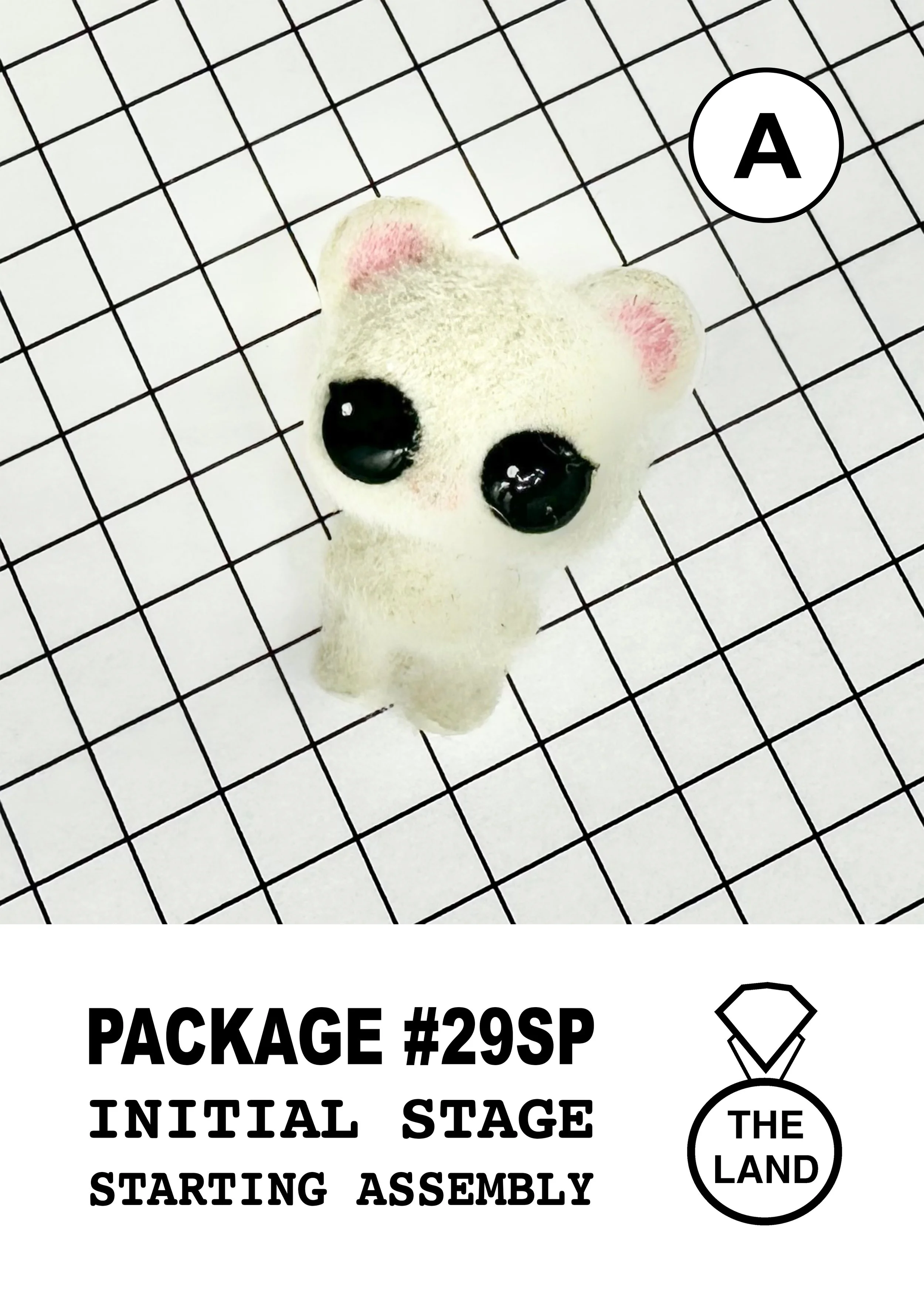 PACKAGE#29-A-INITIAL-STAGE.jpg
