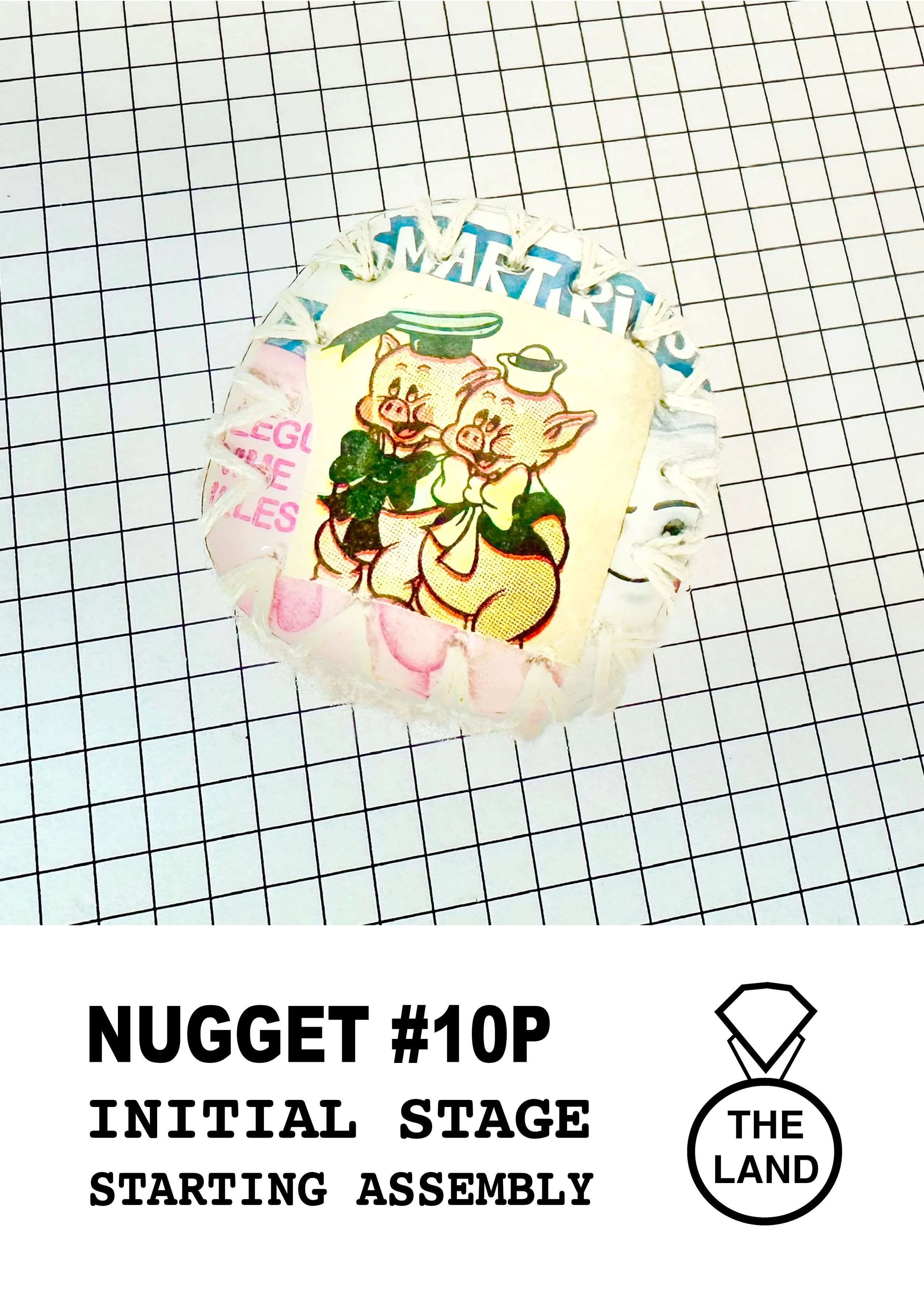 NUGGET#10-INITIAL-STAGE.jpg