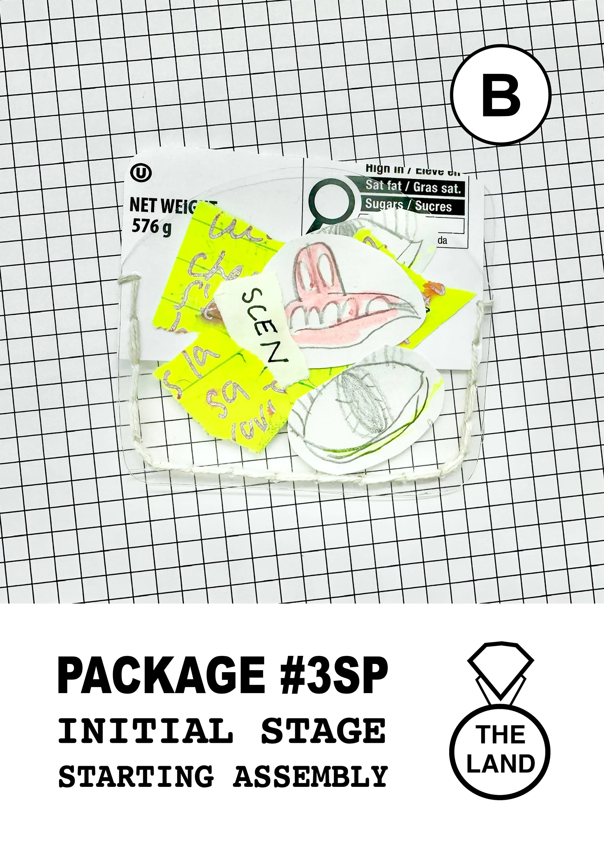 PACKAGE#3-B-INITIAL-STAGE.jpg