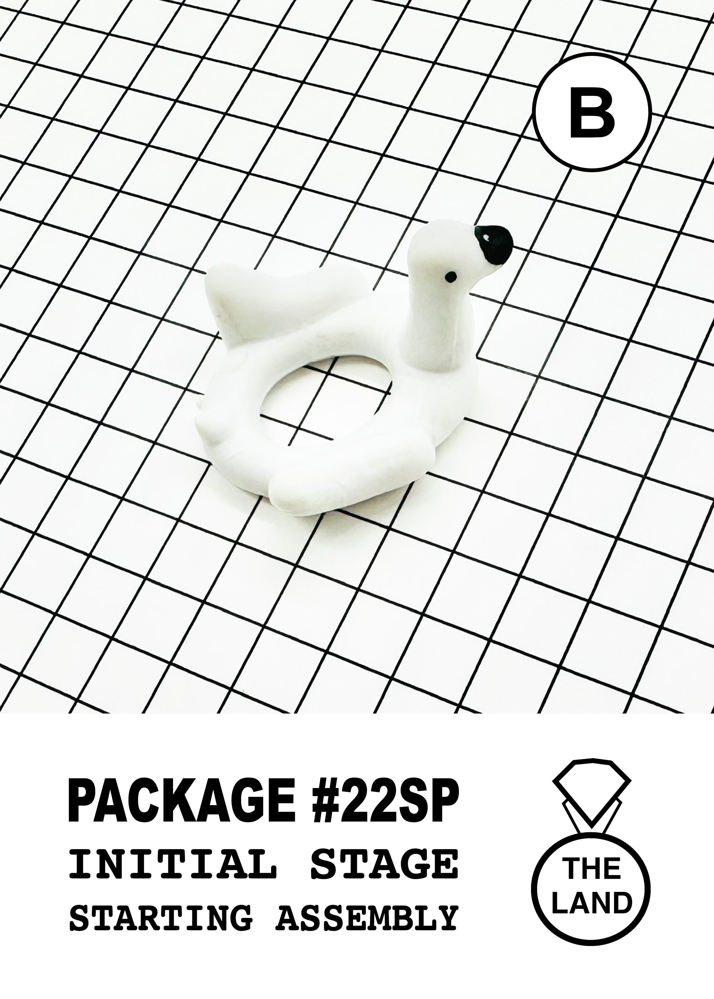PACKAGE#22-B-INITIAL-STAGE.jpg