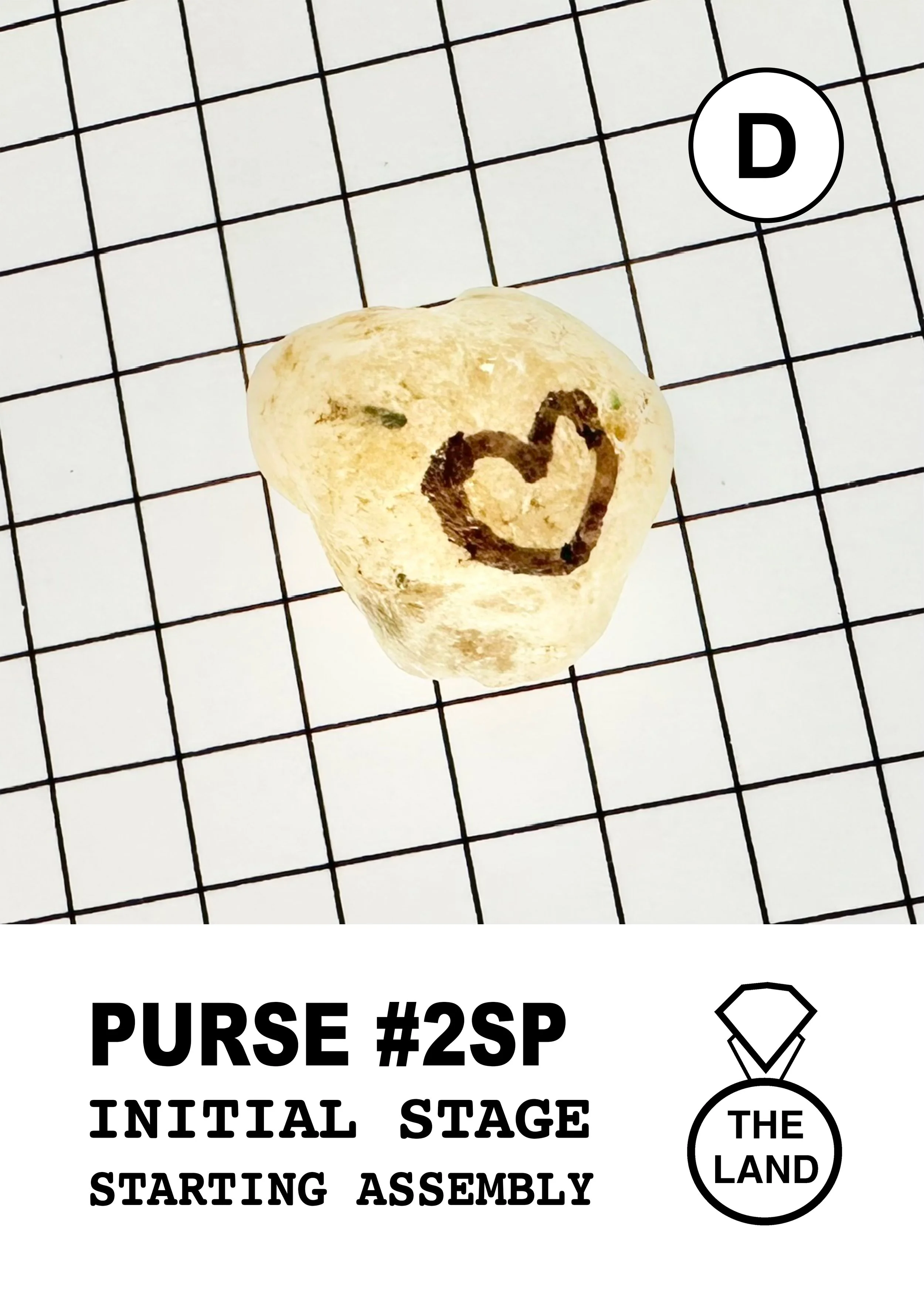 PURSE#2-D-INITIAL-STAGE.jpg