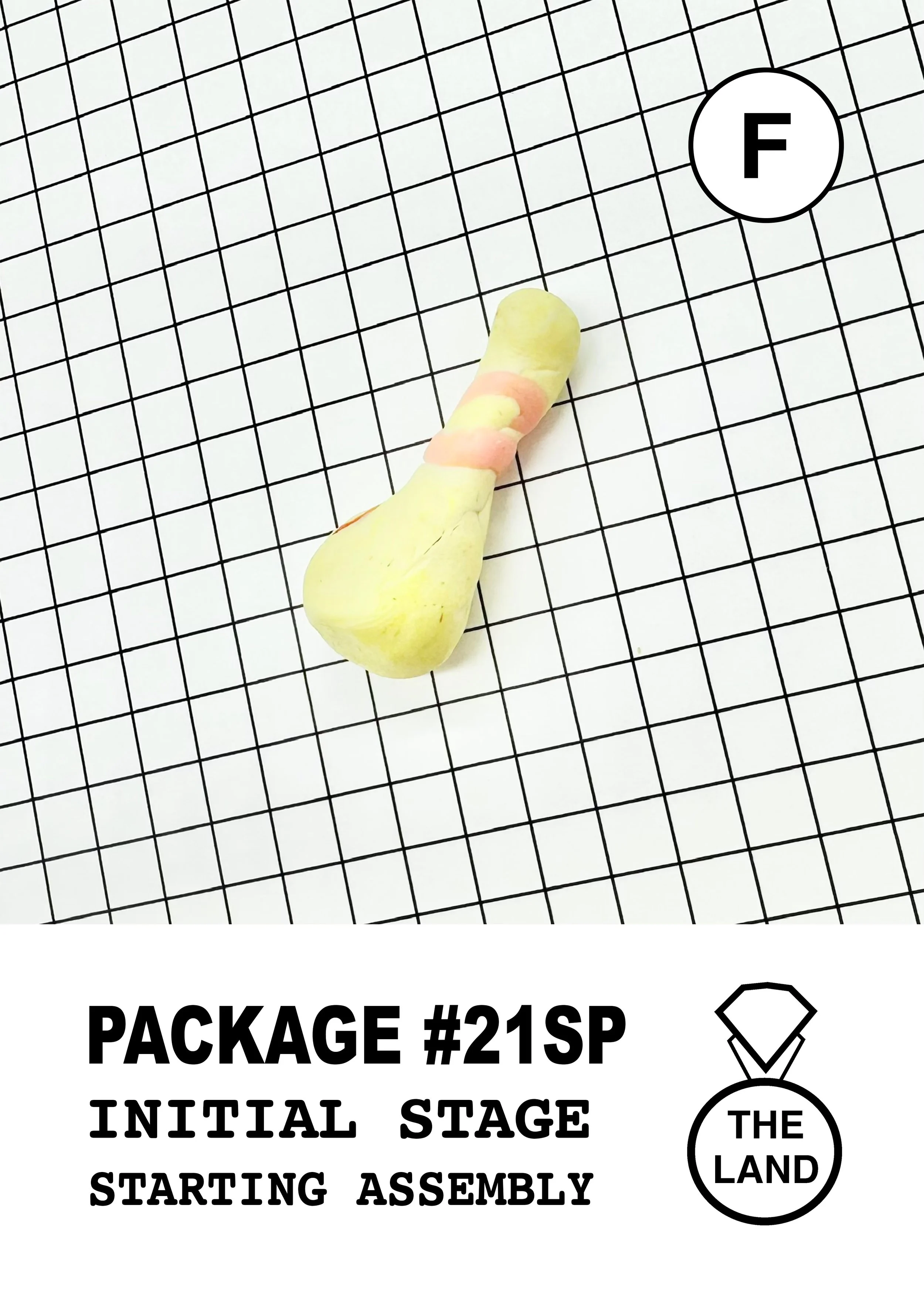 PACKAGE#21-F-INITIAL-STAGE.jpg