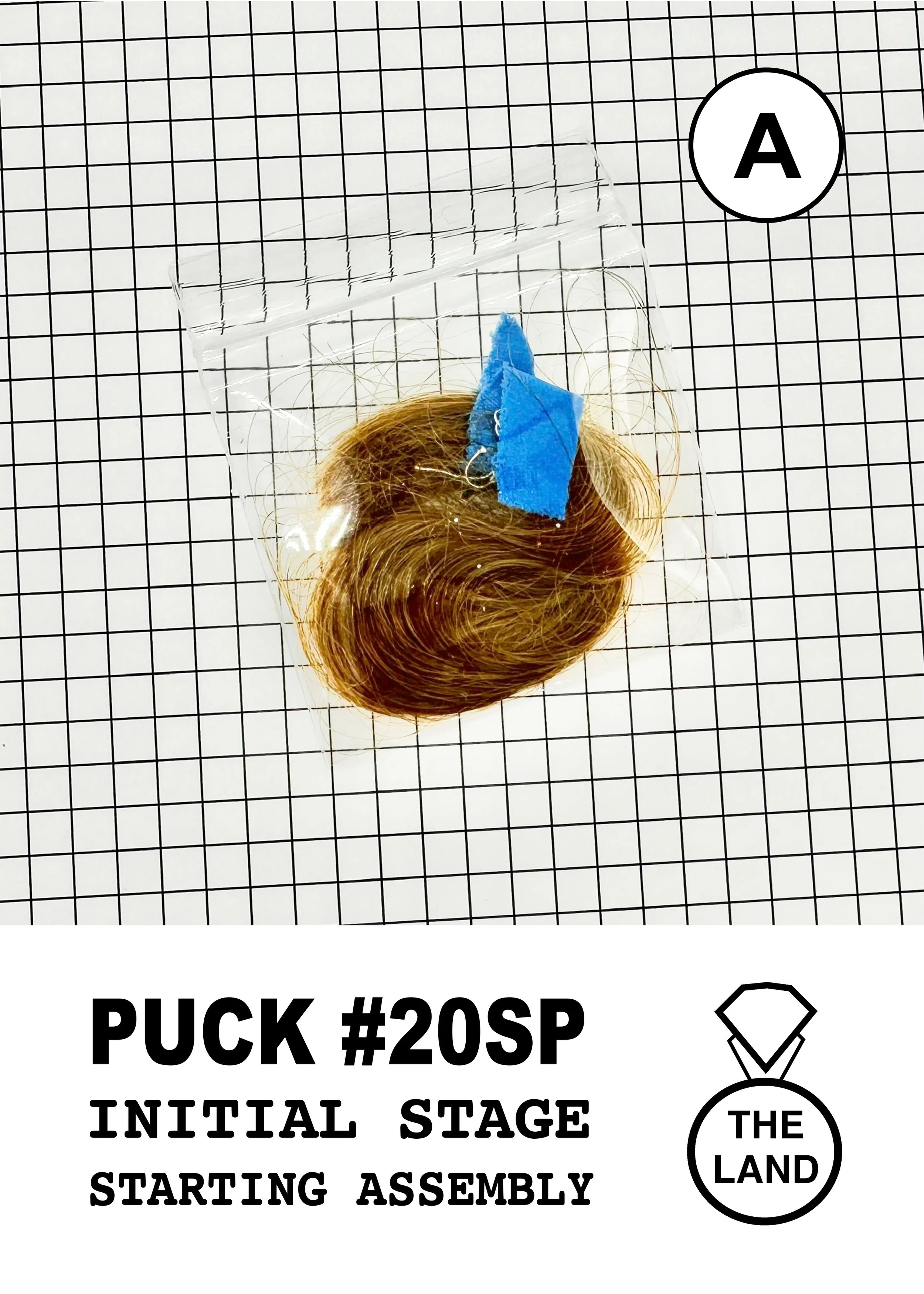 PUCK#20-A-INITIAL-STAGE.jpg