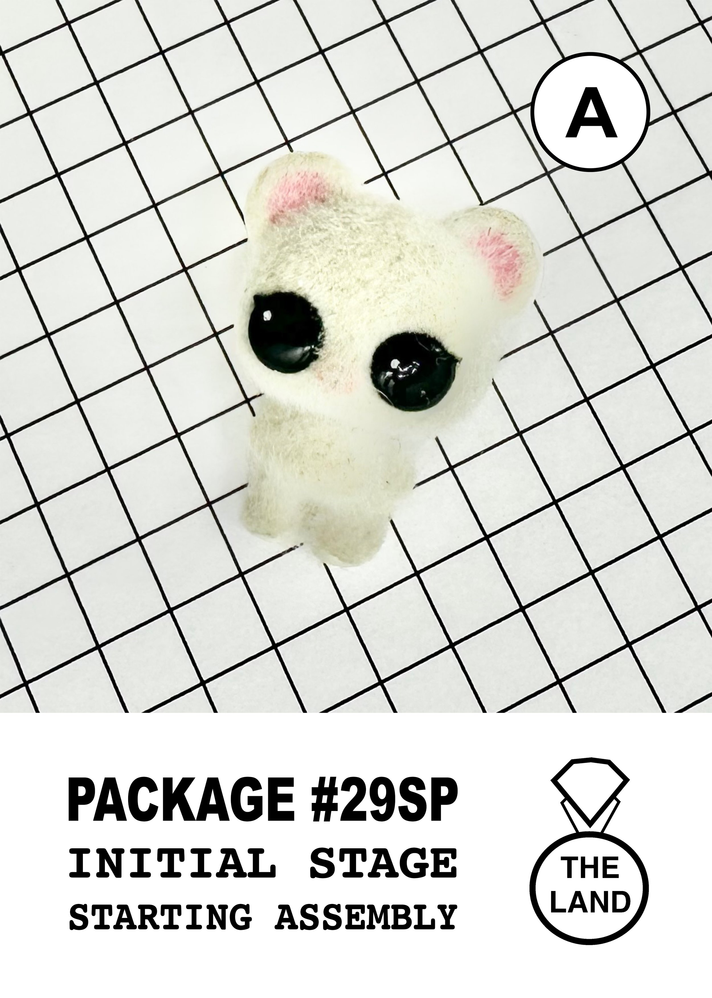 PACKAGE#29-A-INITIAL-STAGE.jpg