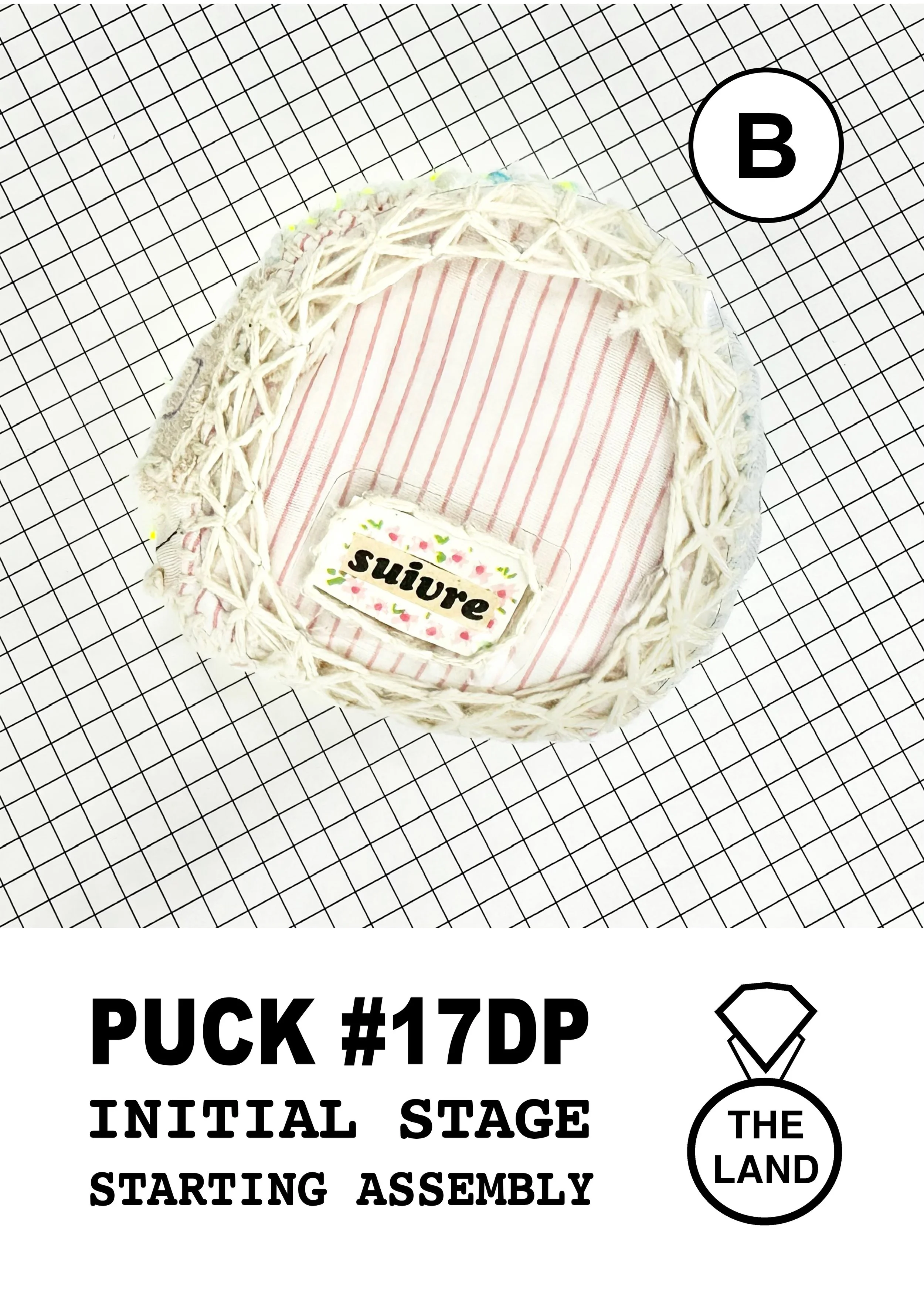 PUCK#17-B-INITIAL-STAGE.jpg