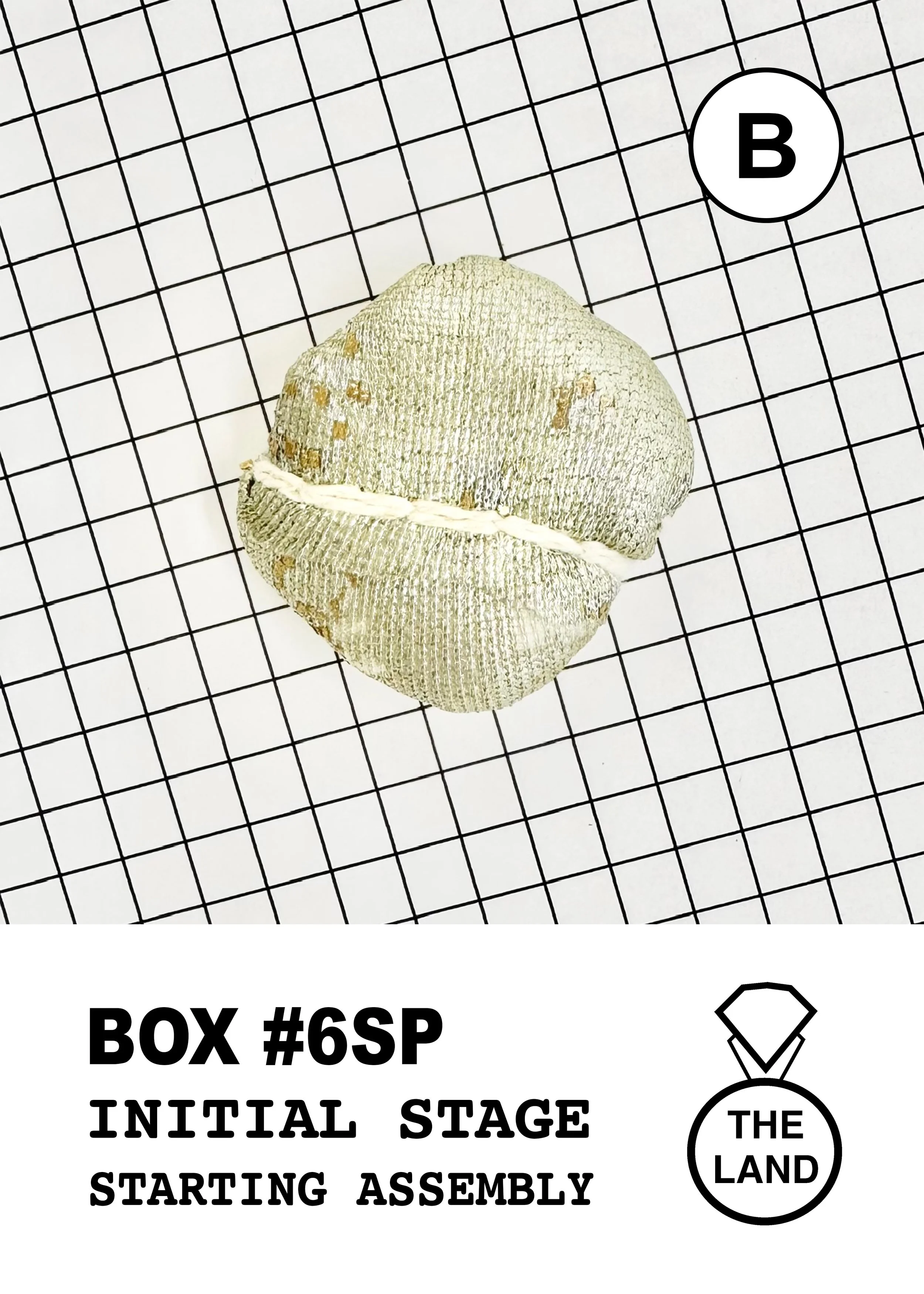 BOX#6-B-INITIAL-STAGE.jpg