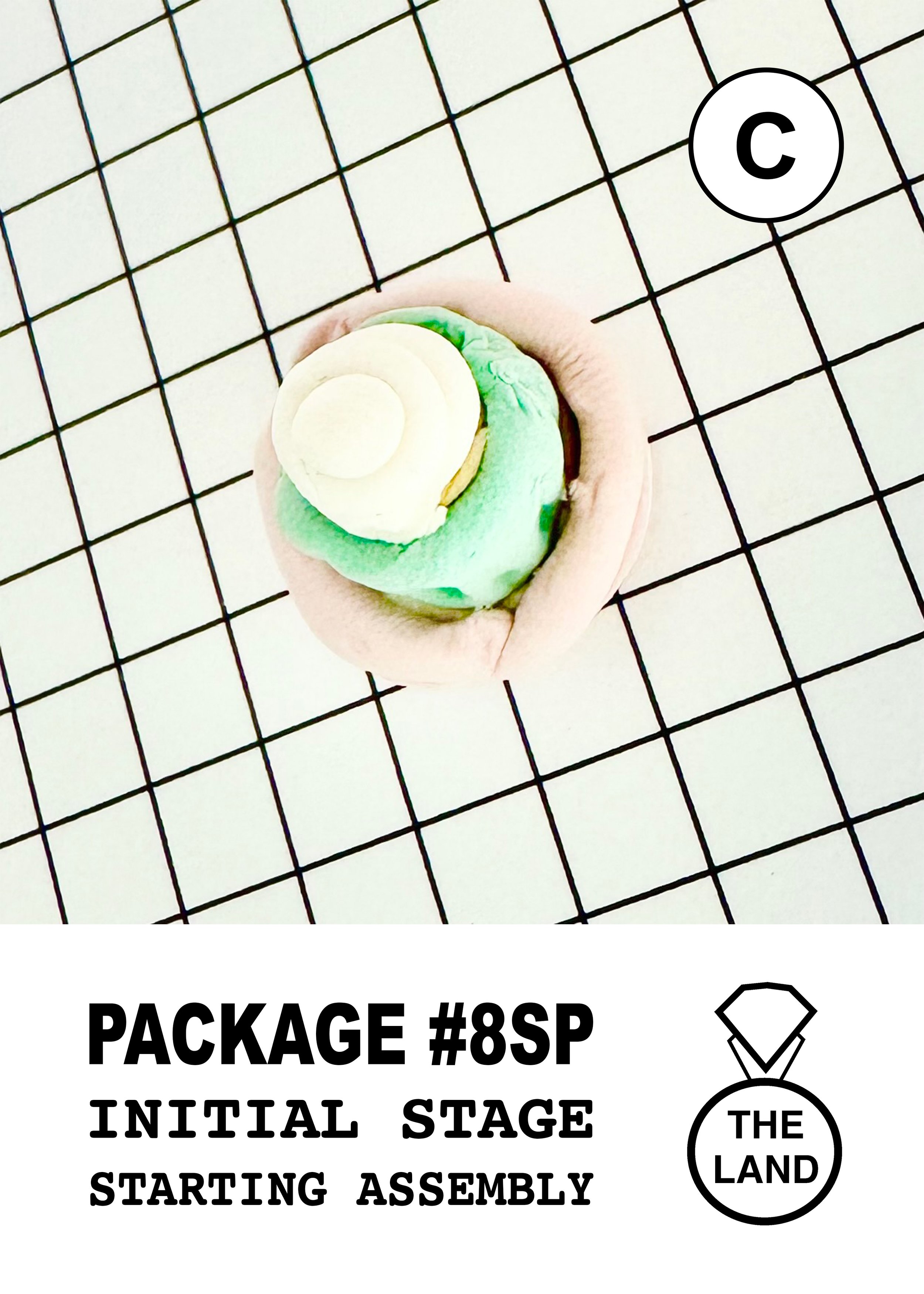PACKAGE#8-C-INITIAL-STAGE.jpg