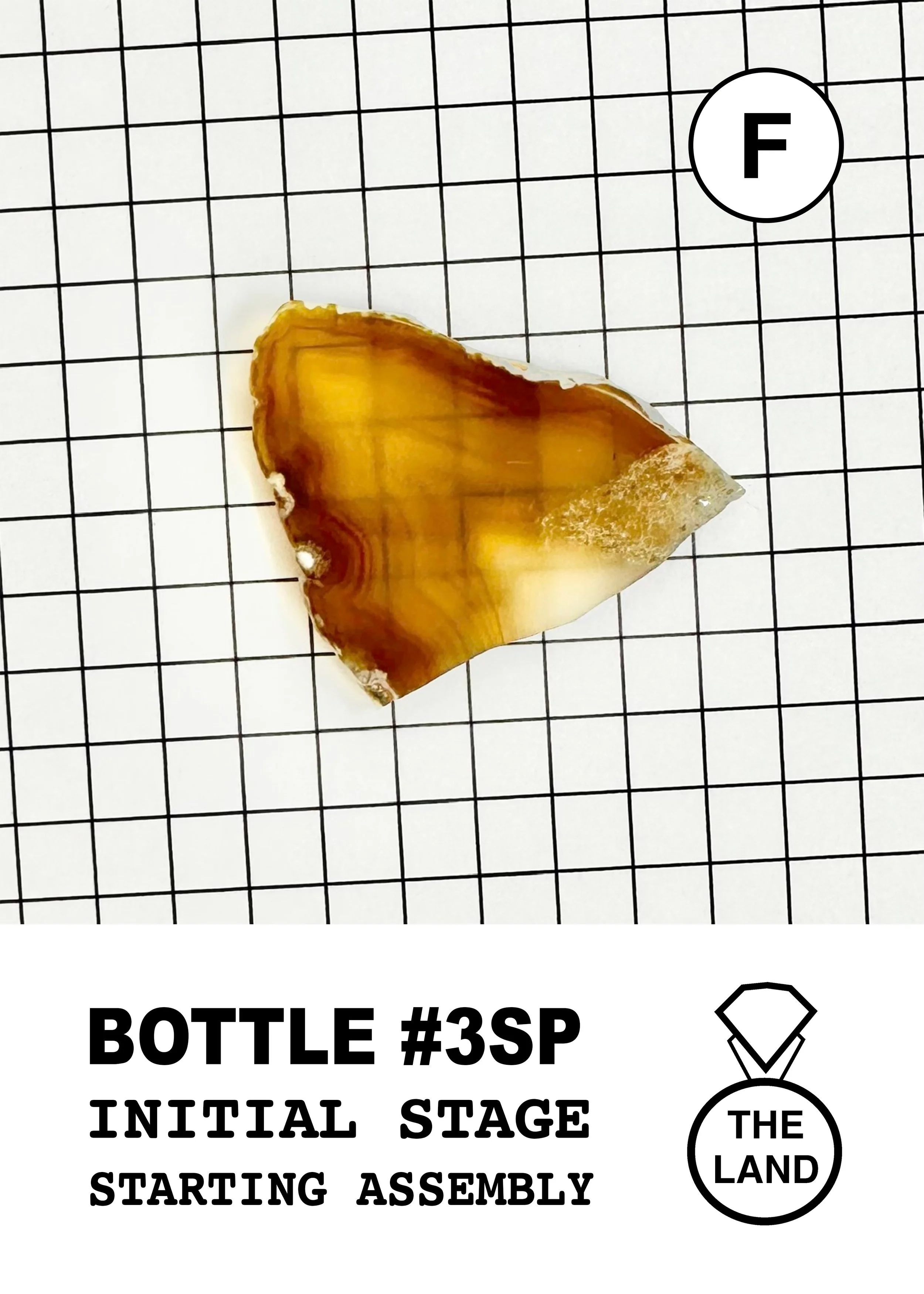 BOTTLE#3-F-INITIAL-STAGE.jpg