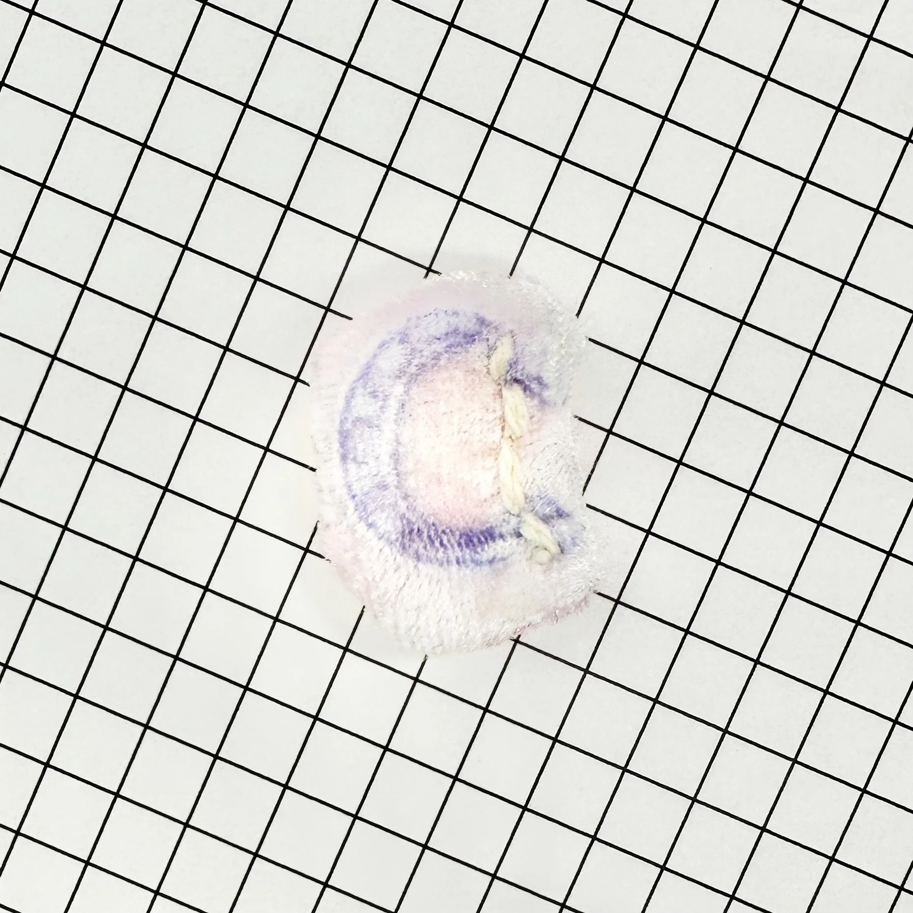 donut-1-initial-c.JPG