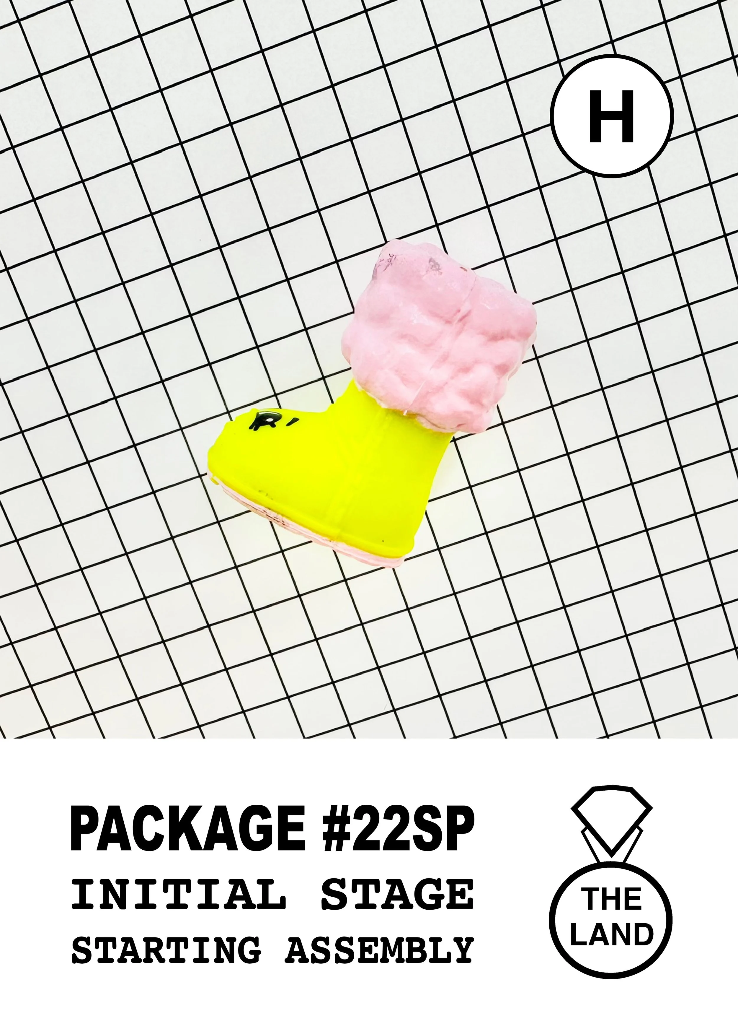 PACKAGE#22-H-INITIAL-STAGE.jpg