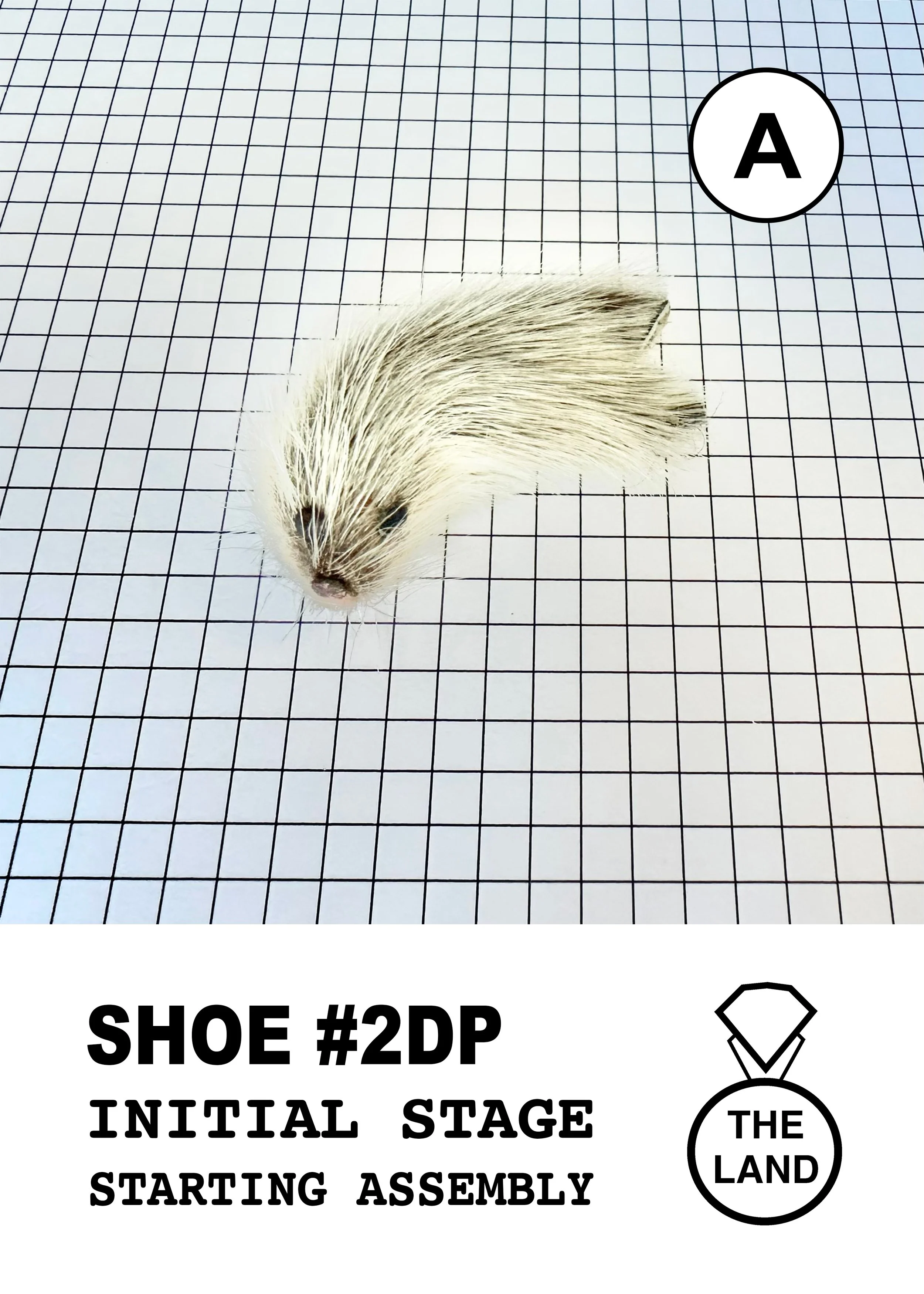 SHOE#2-A-INITIAL-STAGE.jpg