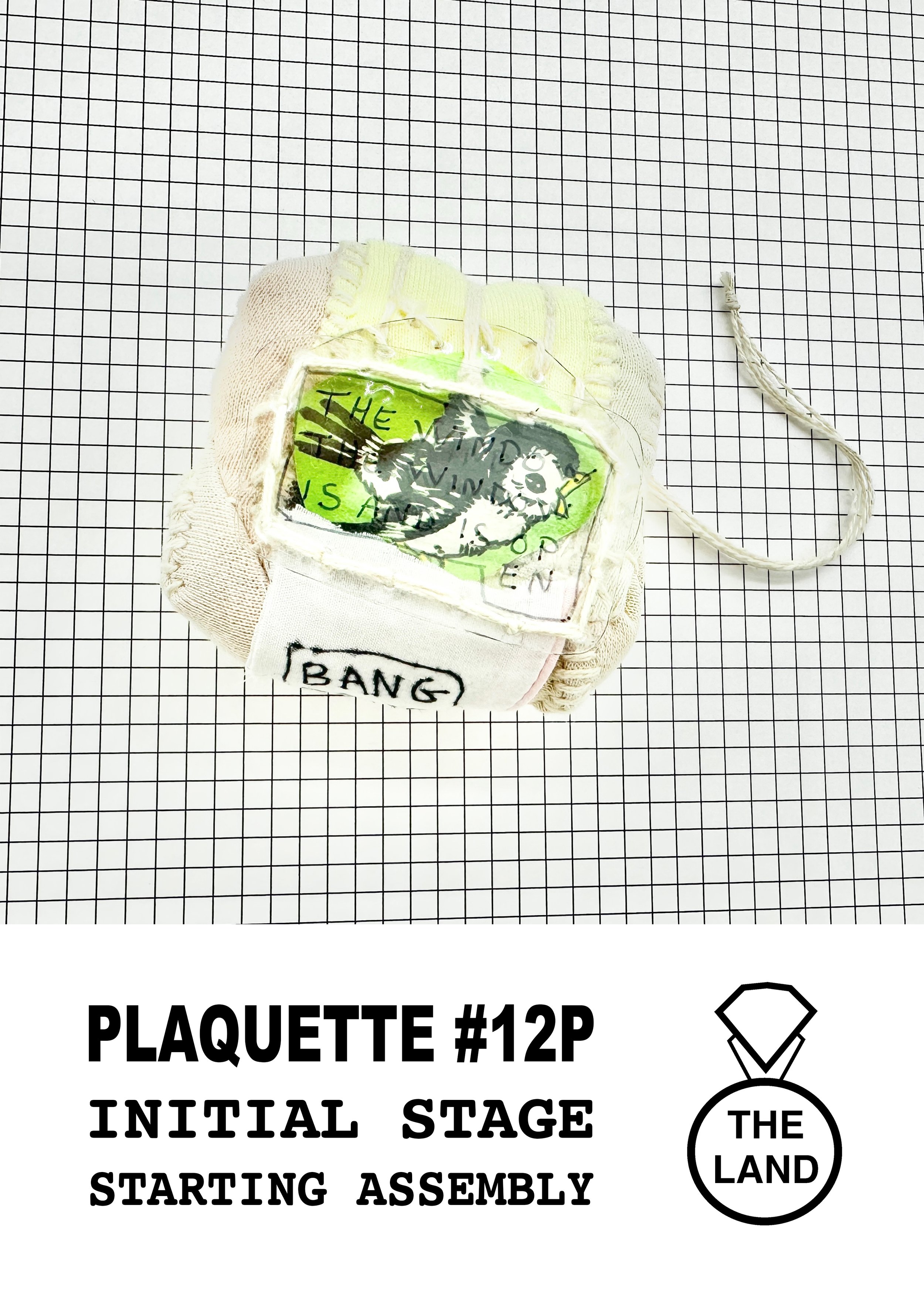 PLAQUETTE#12-INITIAL-STAGE.jpg