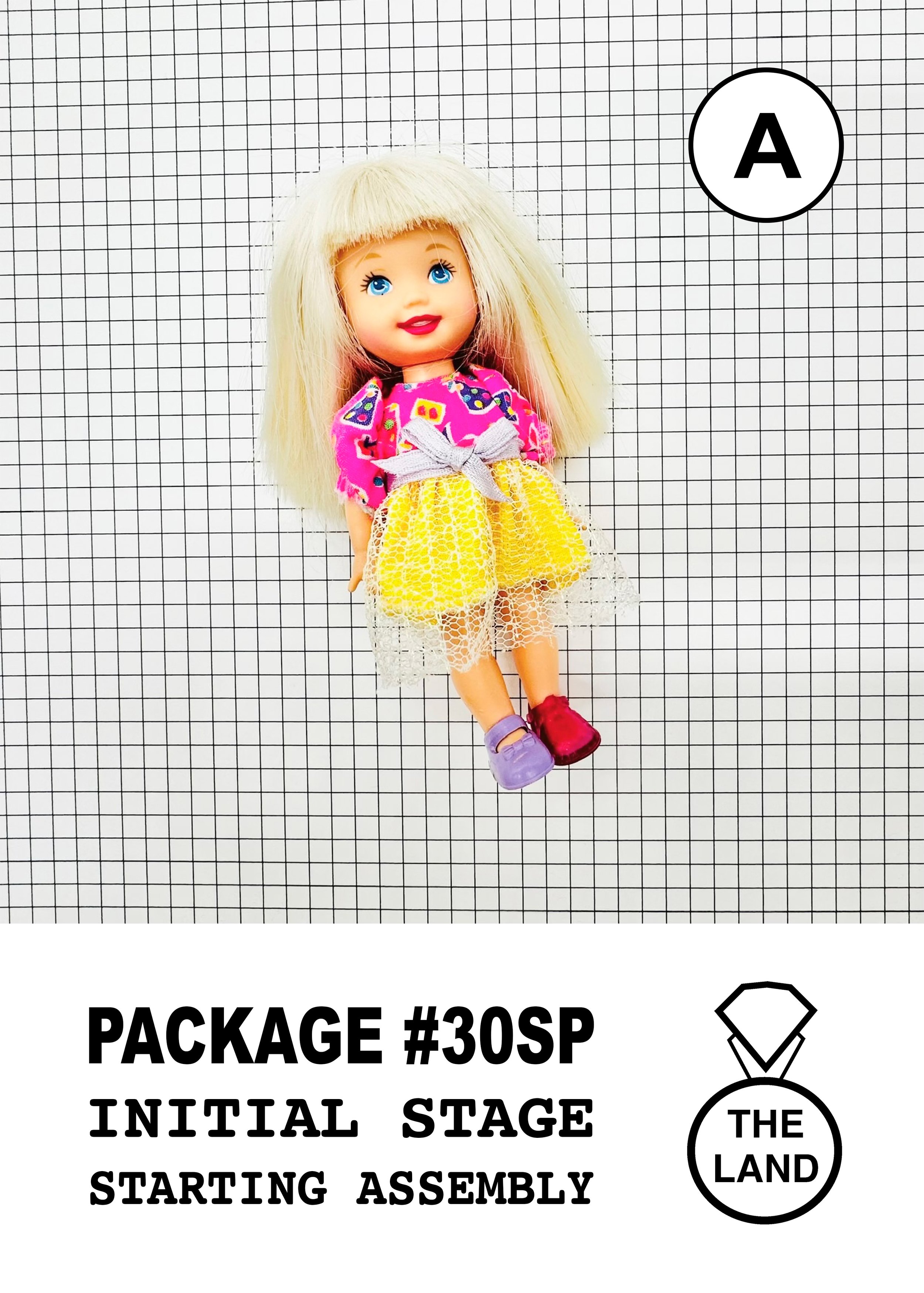 PACKAGE#30-A-INITIAL-STAGE.jpg