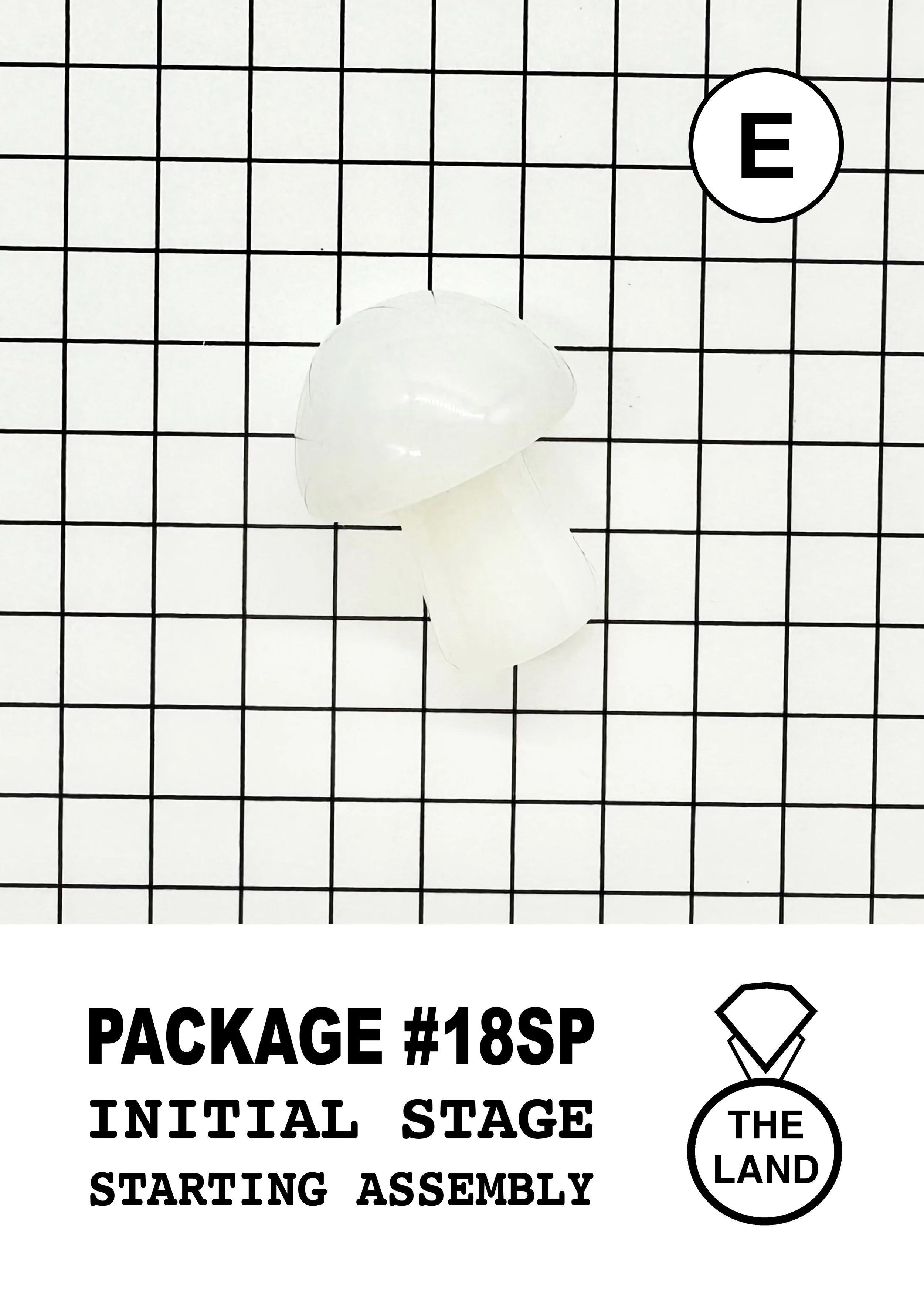 PACKAGE#18-E-INITIAL-STAGE.jpg