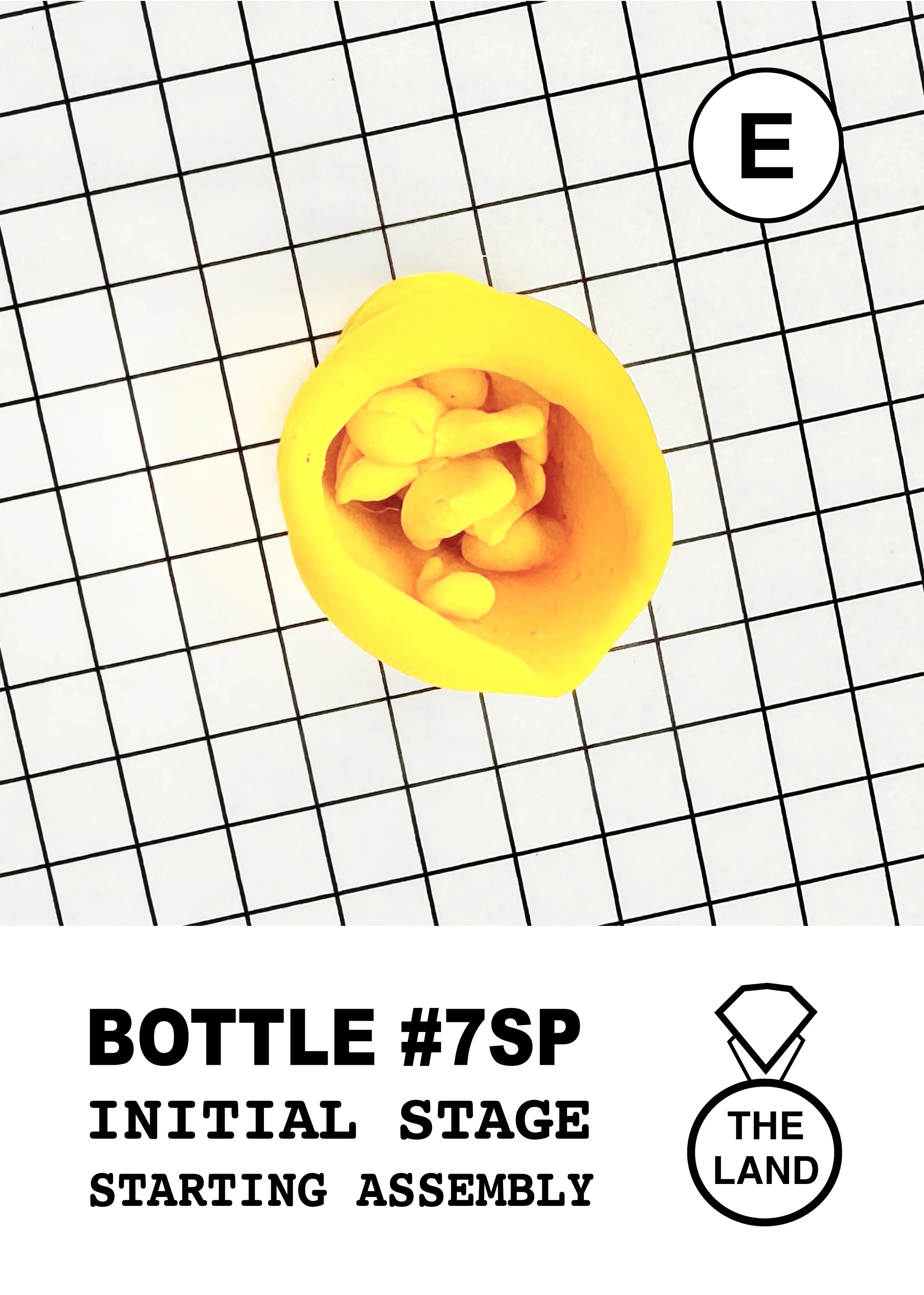 BOTTLE#7-E-INITIAL-STAGE.jpg