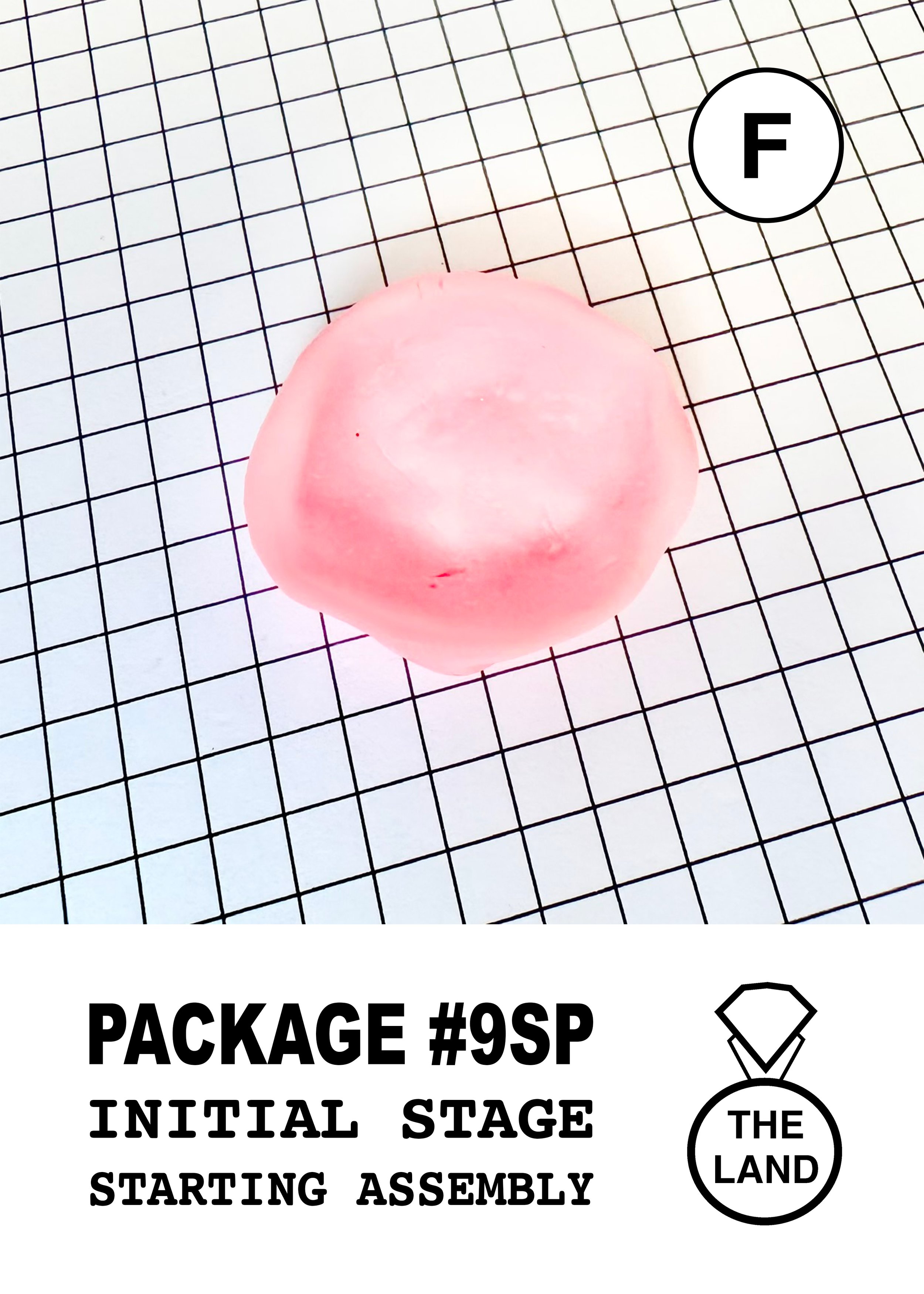 PACKAGE#9-F-INITIAL-STAGE.jpg