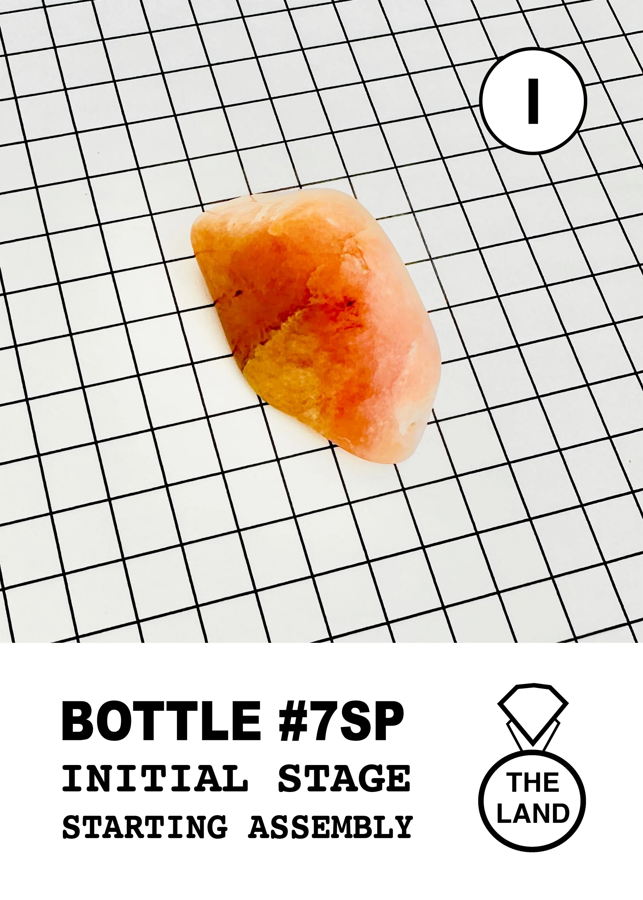 BOTTLE#7-1-INITIAL-STAGE.jpg