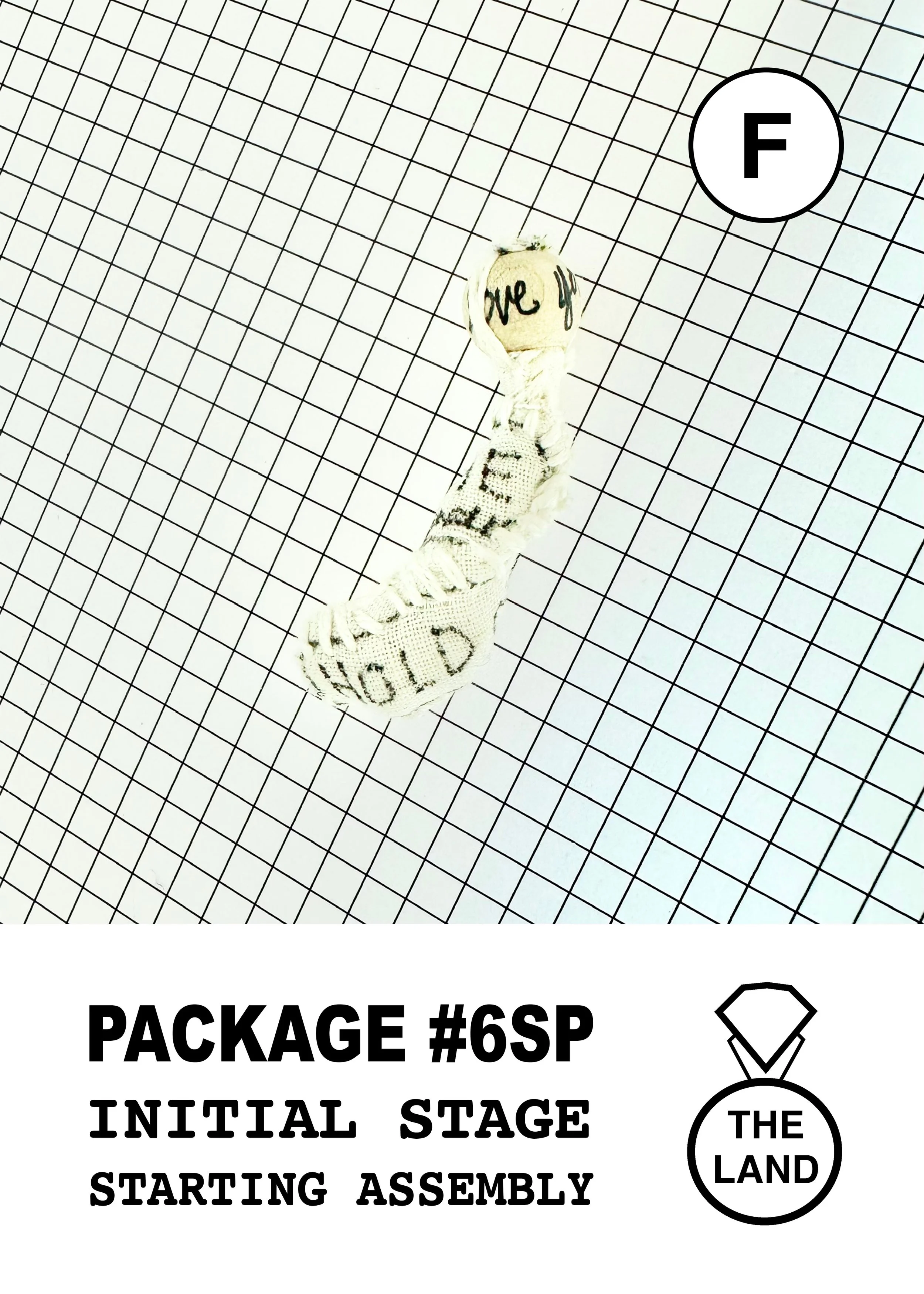 PACKAGE#6-F-INITIAL-STAGE.jpg