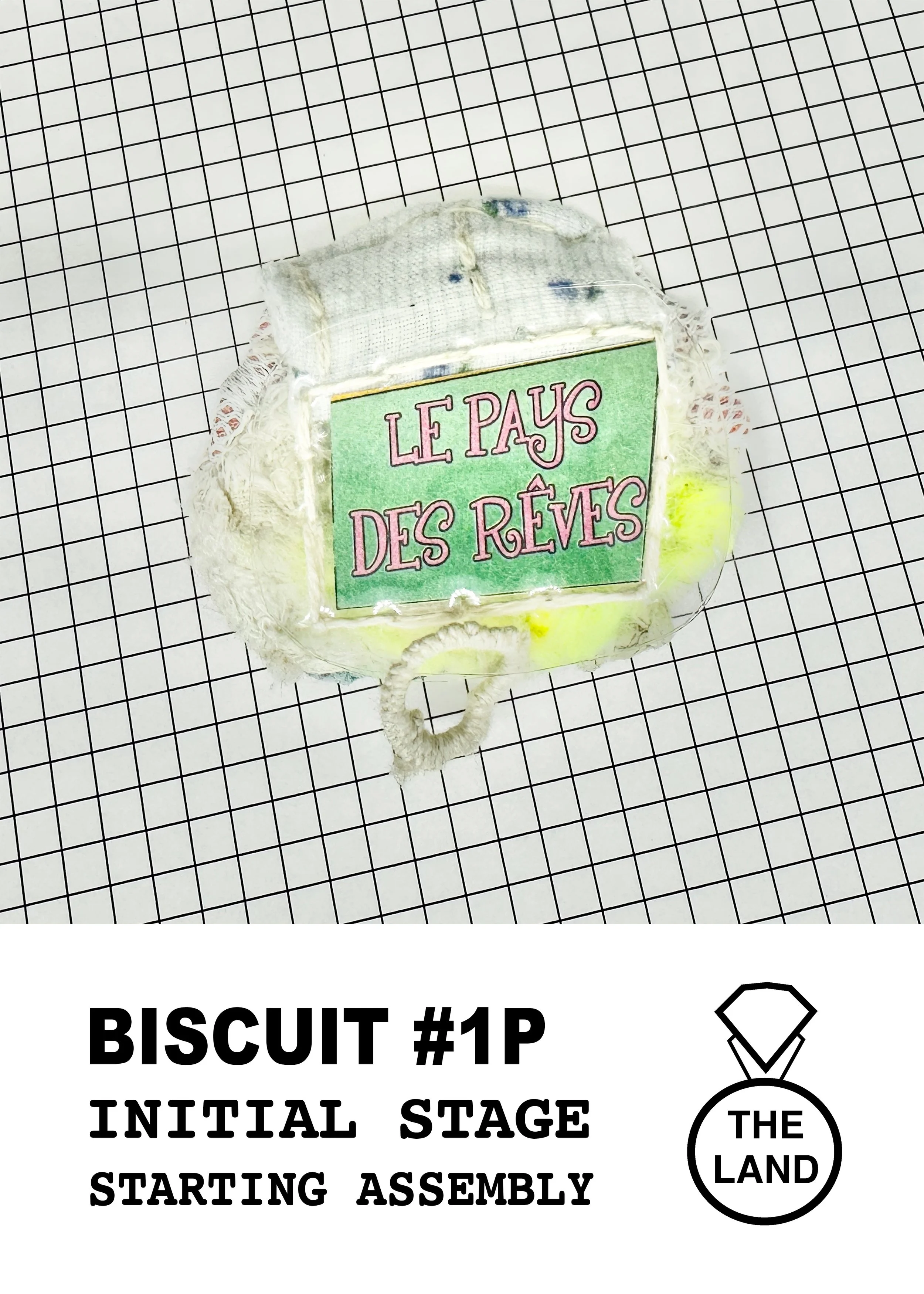 BISCUIT#1-INITIAL-STAGE.jpg