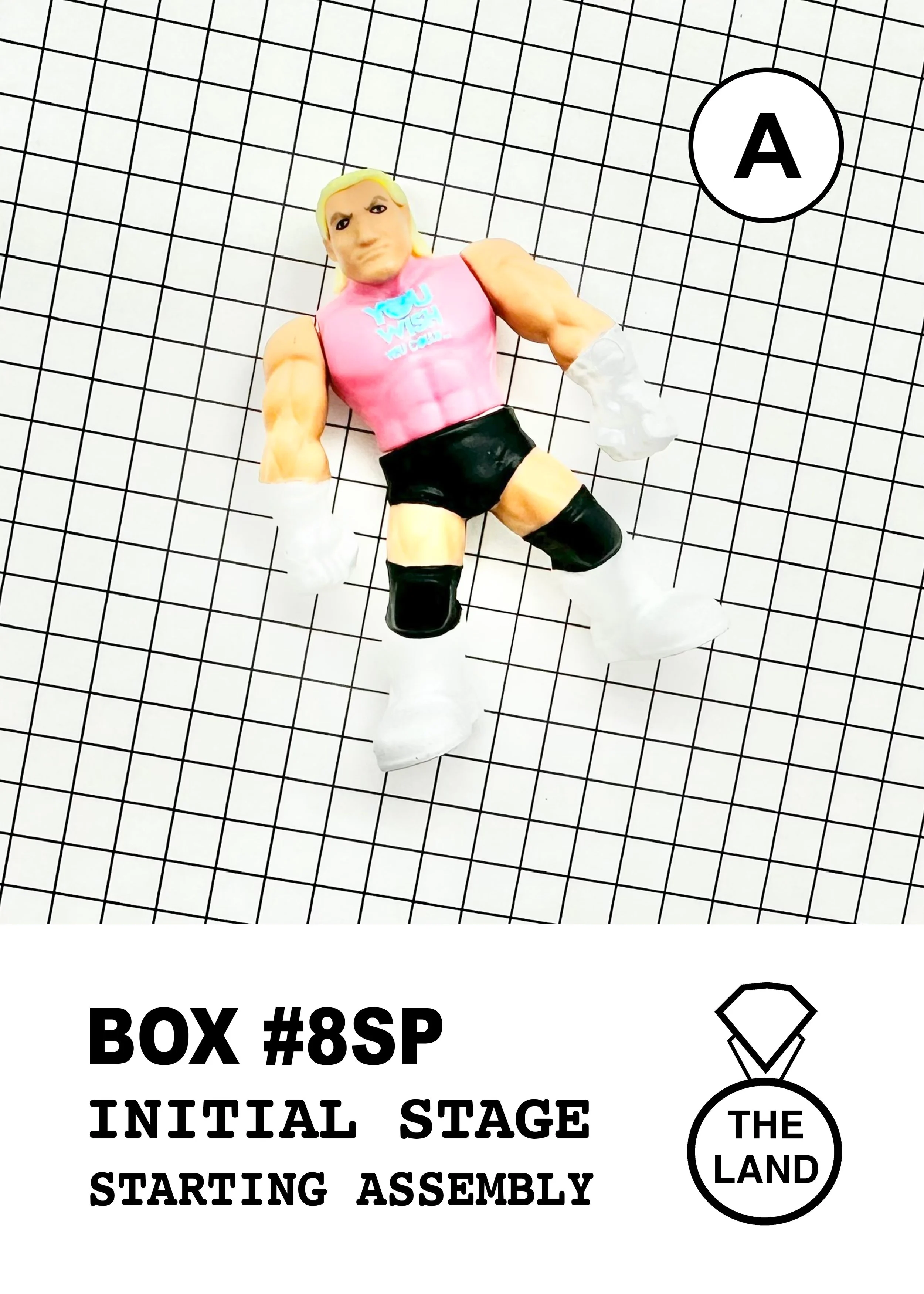 BOX#8-A-INITIAL-STAGE.jpg