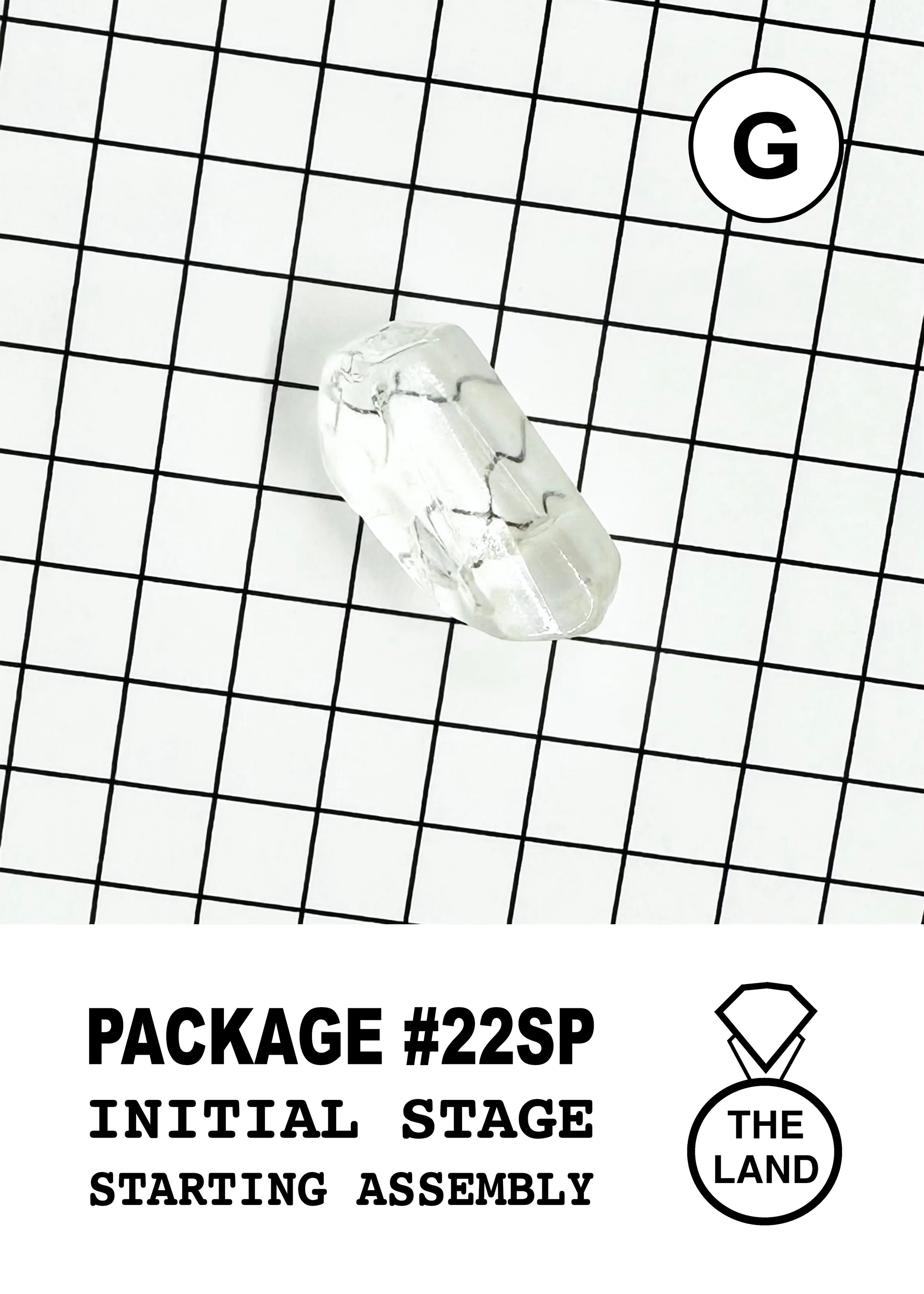PACKAGE#22-G-INITIAL-STAGE.jpg
